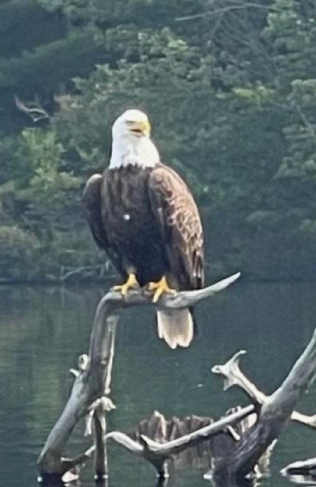 #41 photo, 286 Lakeview Drive Road, Highland Lake , NY 12743