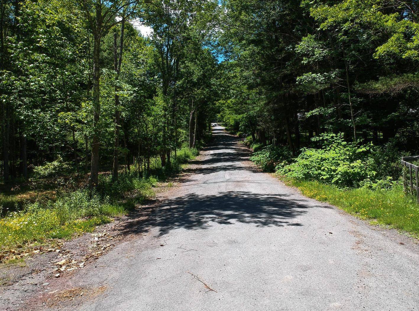 #10 photo, 98 Norwegian, Lexington , NY 12468