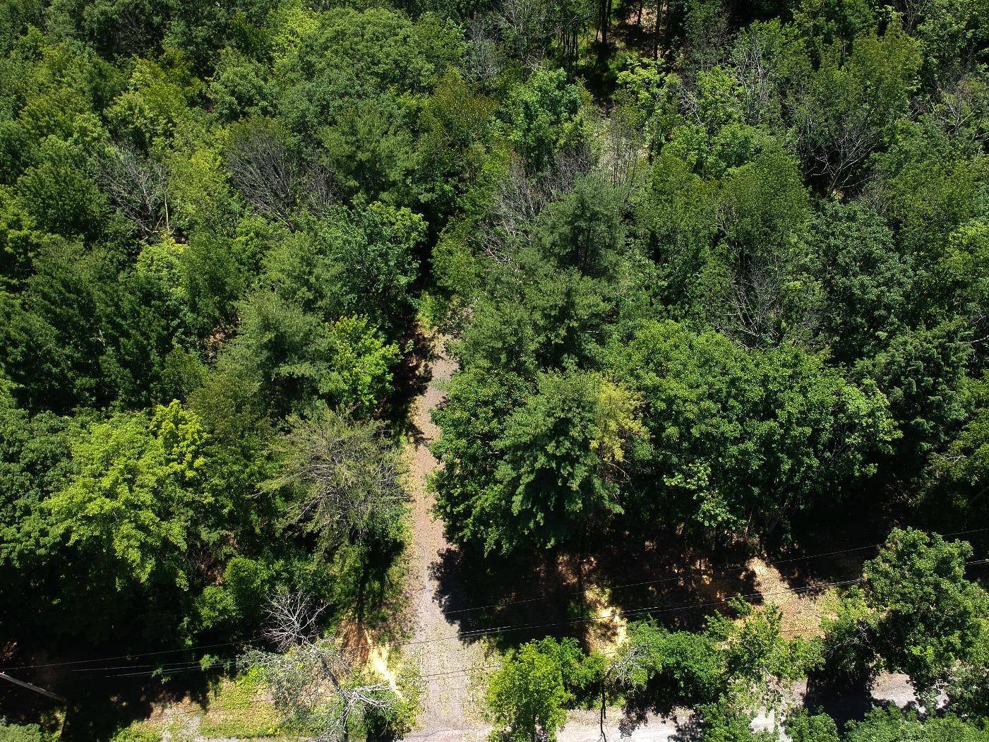 #11 photo, 98 Norwegian, Lexington , NY 12468