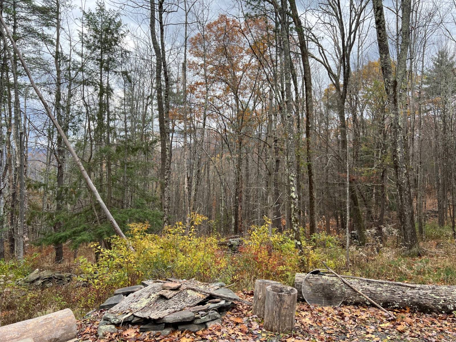 #13 photo, 98 Norwegian, Lexington , NY 12468