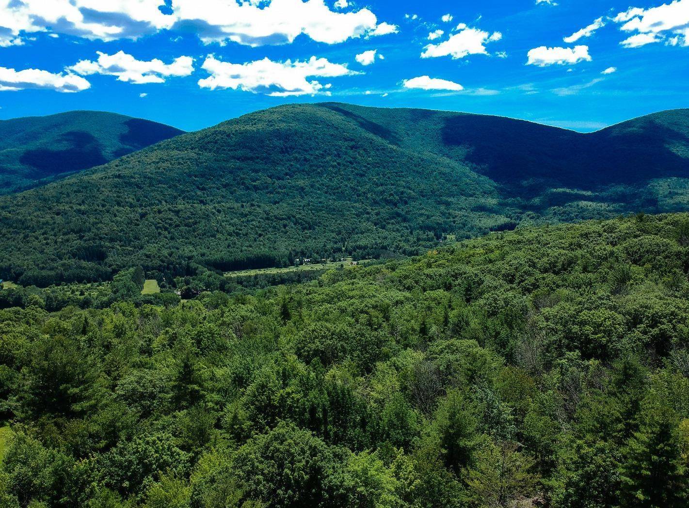 #2 photo, 98 Norwegian, Lexington , NY 12468