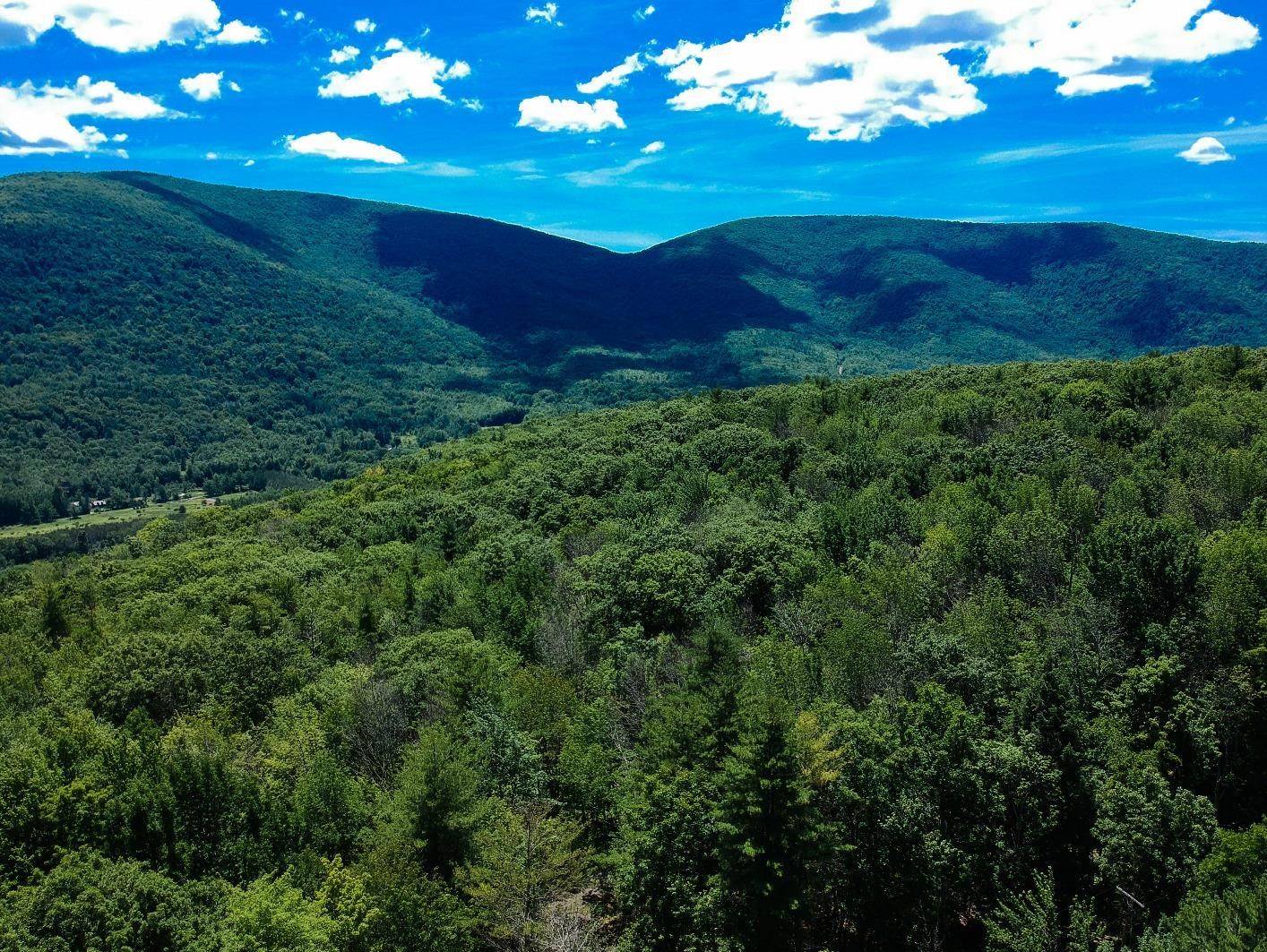 #3 photo, 98 Norwegian, Lexington , NY 12468