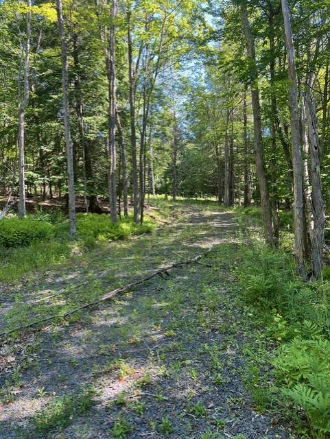 #4 photo, 98 Norwegian, Lexington , NY 12468