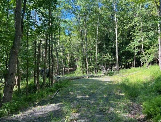 #5 photo, 98 Norwegian, Lexington , NY 12468