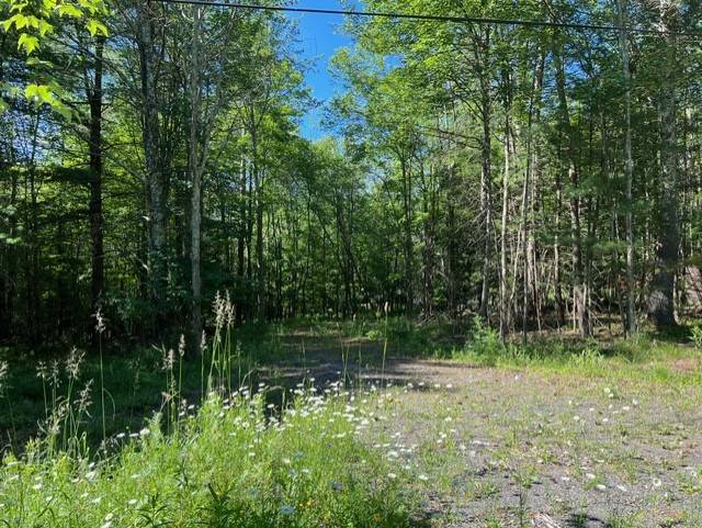 #6 photo, 98 Norwegian, Lexington , NY 12468