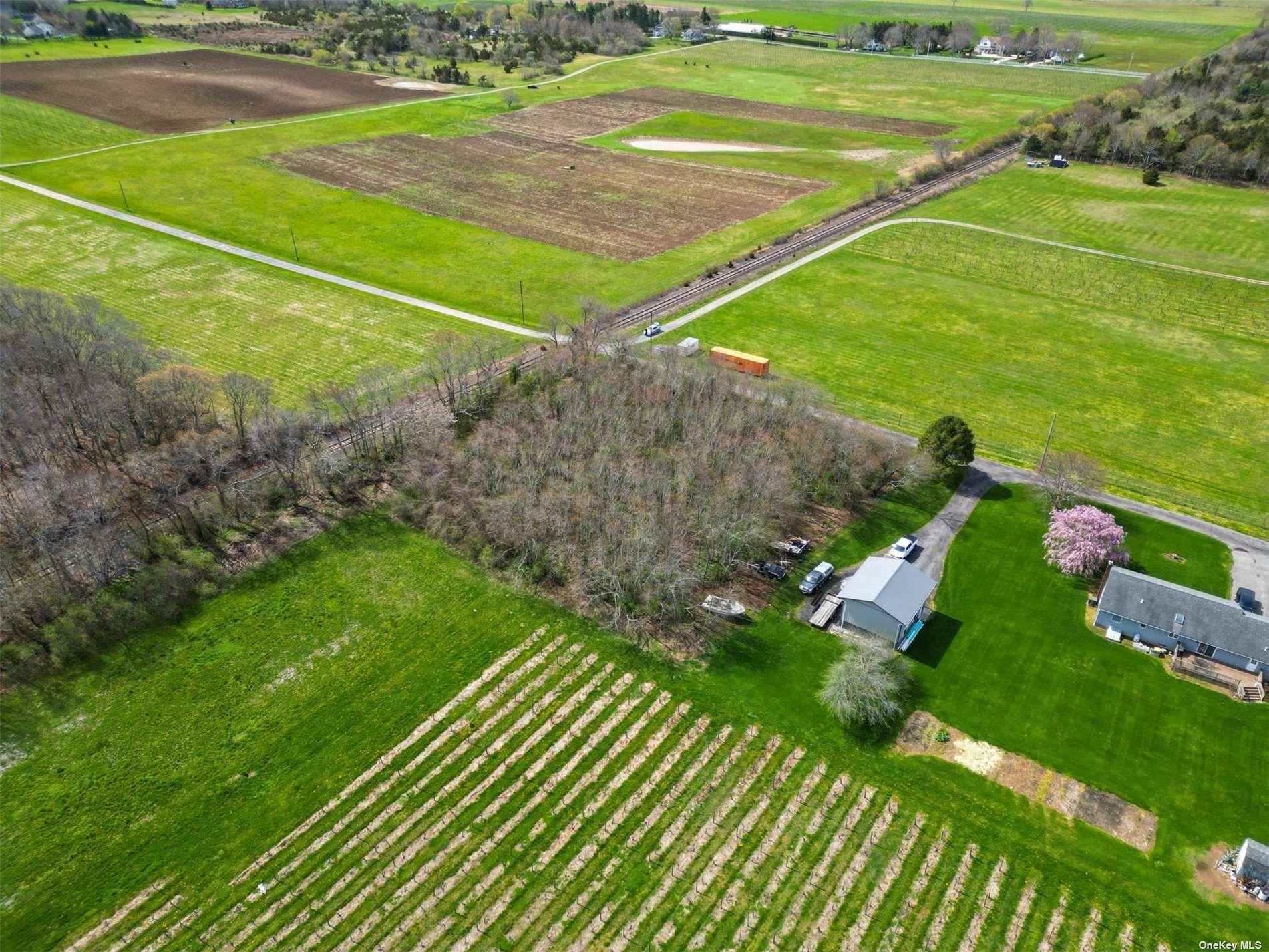 #6 photo, County Rd 48, サフォーク郡 Cutchogue , NY 11935