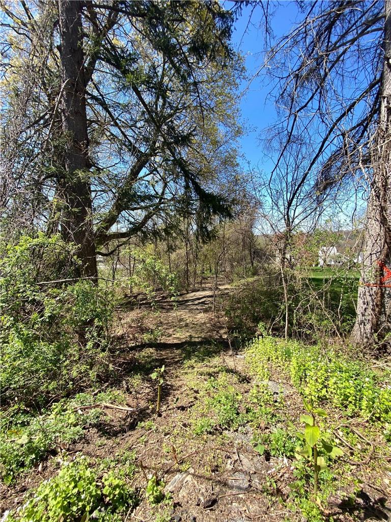 #5 photo, 22 S Bedford Avenue, Bedford Hills , NY 10507