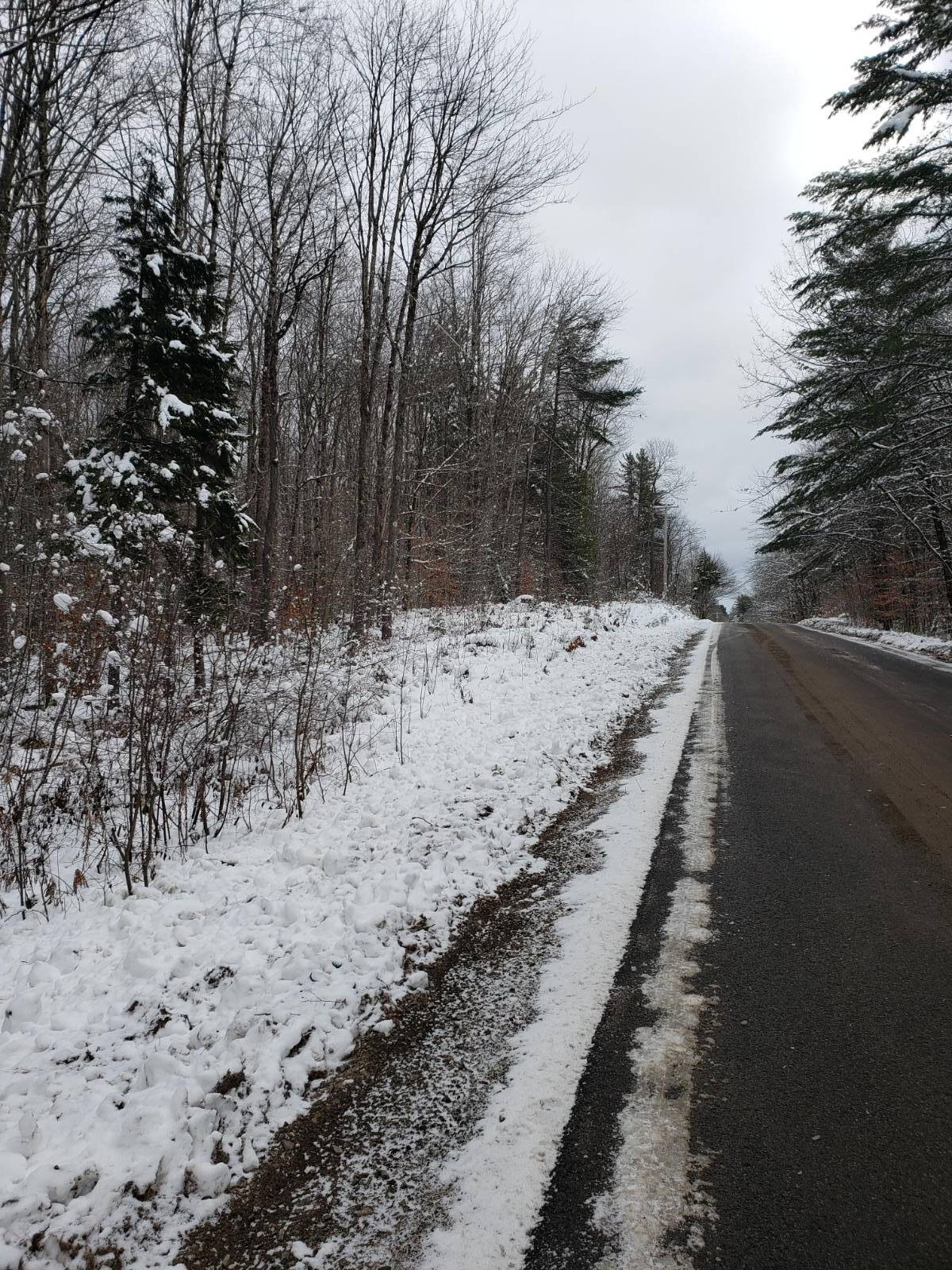 #8 photo, 311 Stewart Landing Rd, Stratford , NY 13470