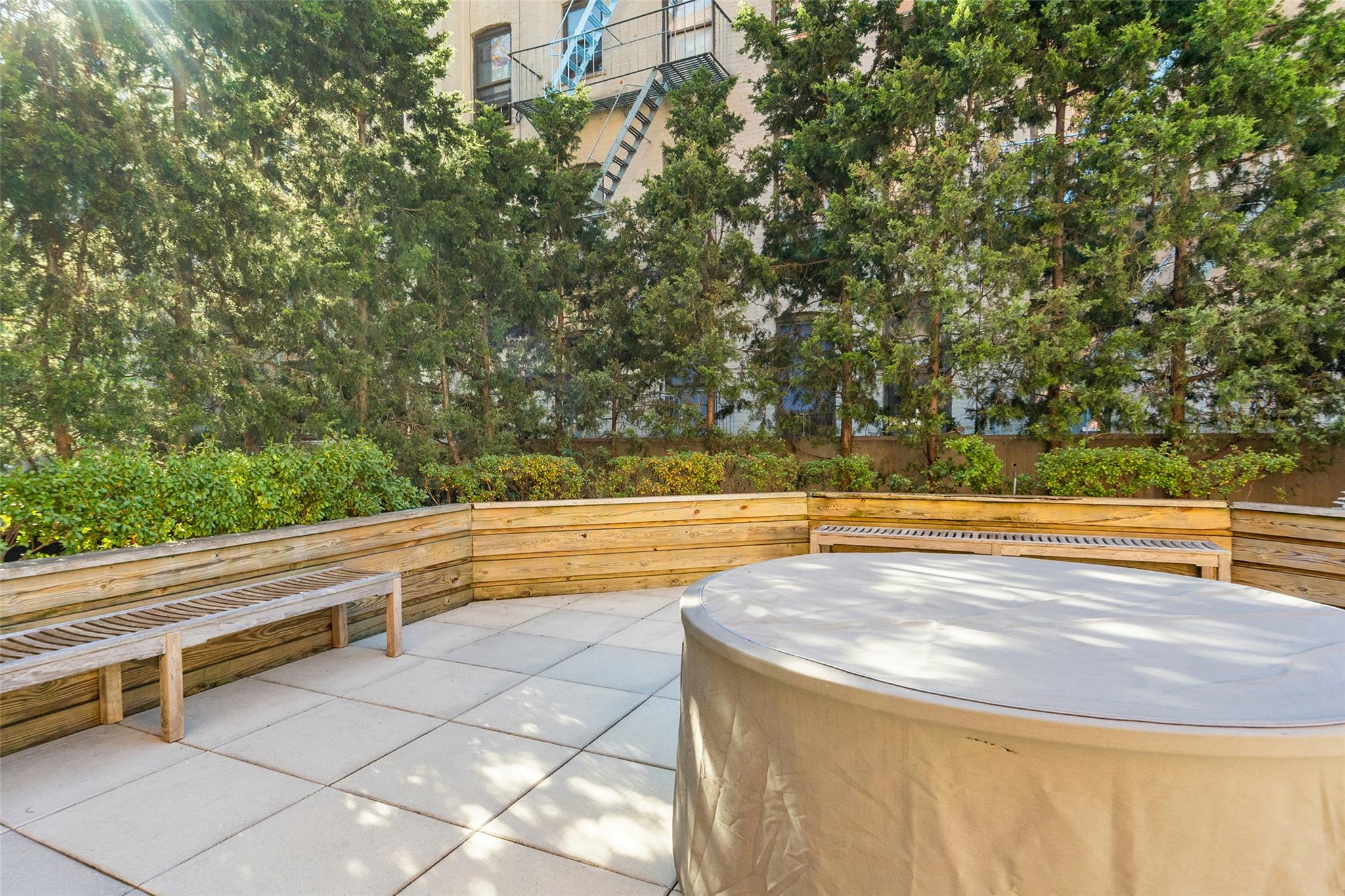 #15 photo, 342 E 119 St, マンハッタン New York (Manhattan) , NY 10035