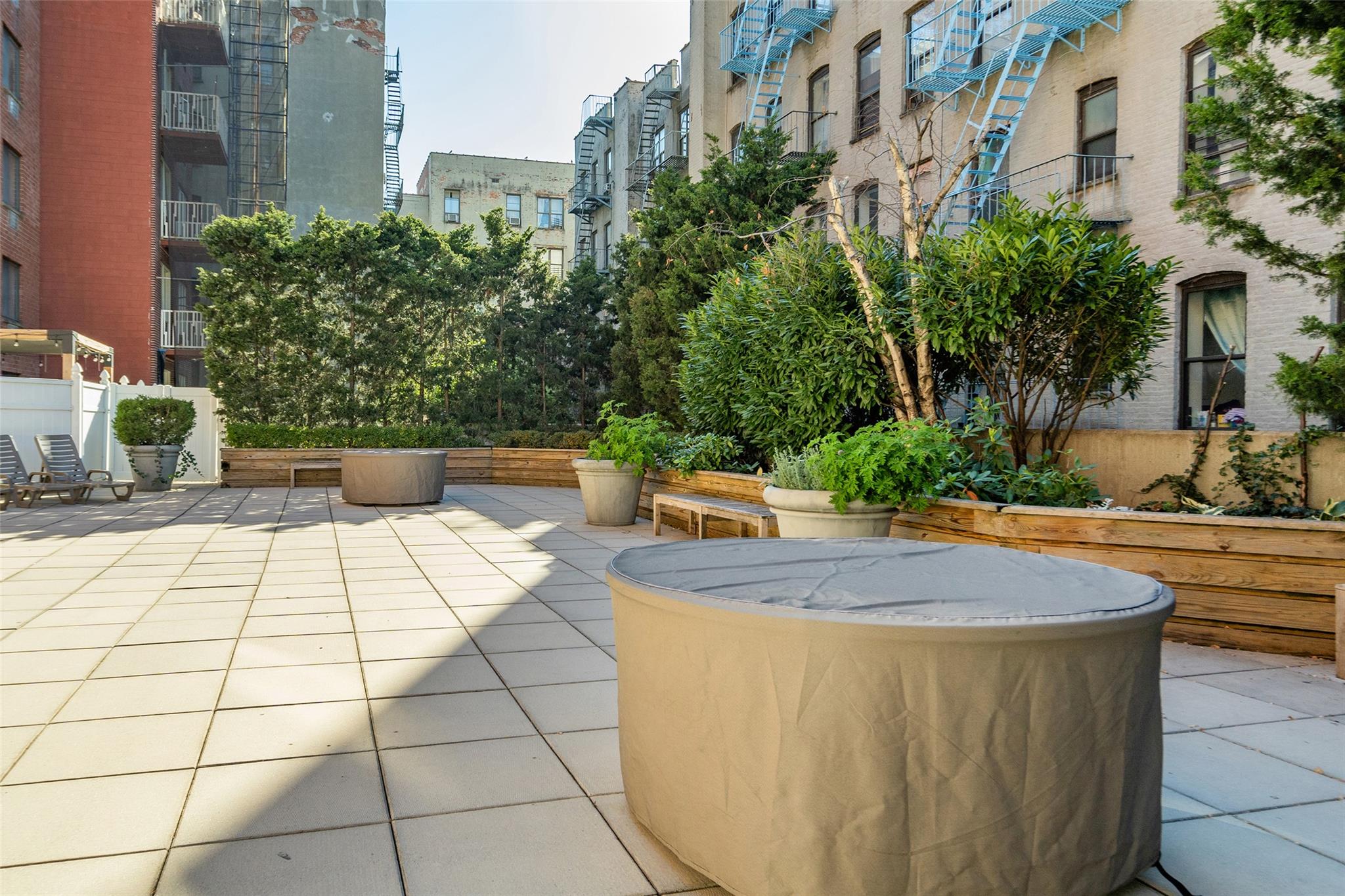 #17 photo, 342 E 119 St, マンハッタン New York (Manhattan) , NY 10035