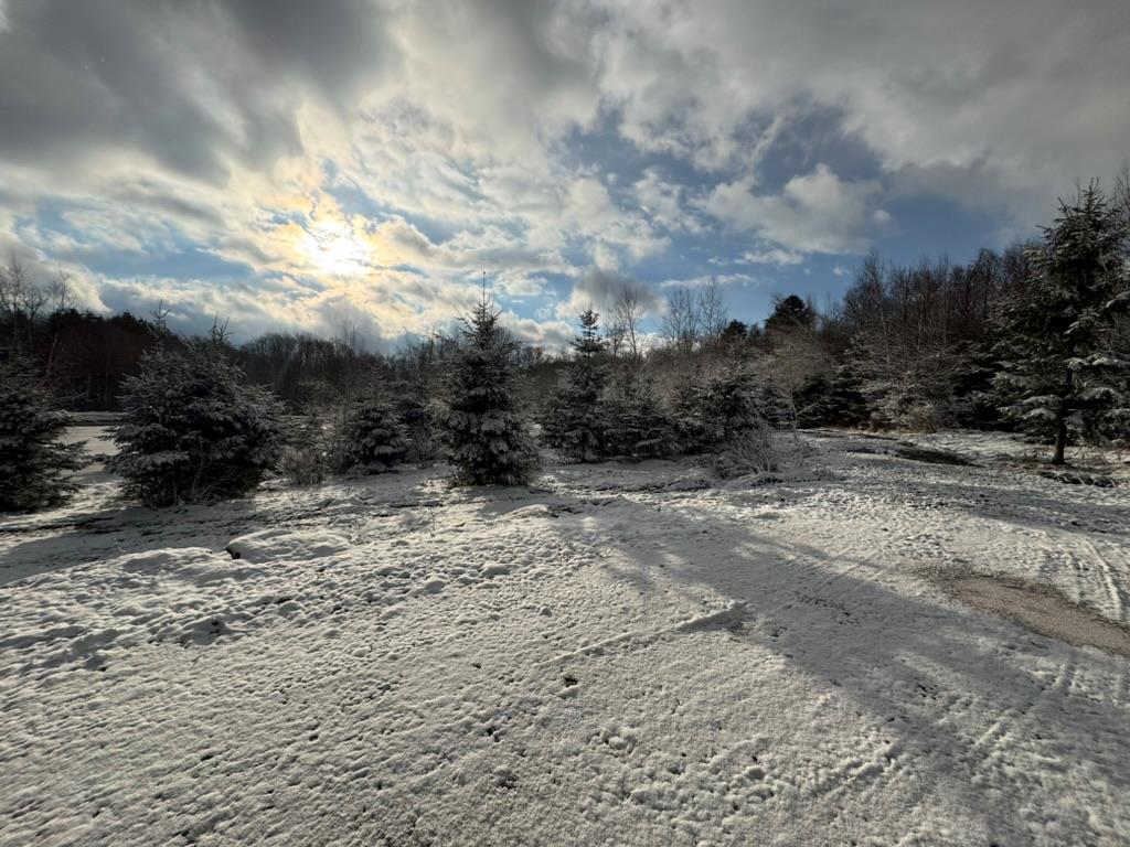 #17 photo, 922 Hankins Road, Roscoe , NY 12736