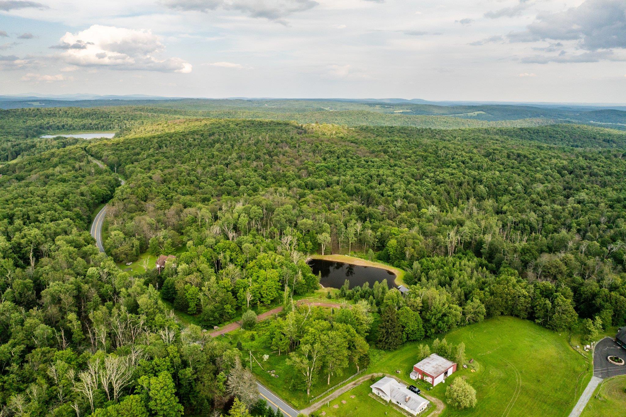 #9 photo, 922 Hankins Road, Roscoe , NY 12736