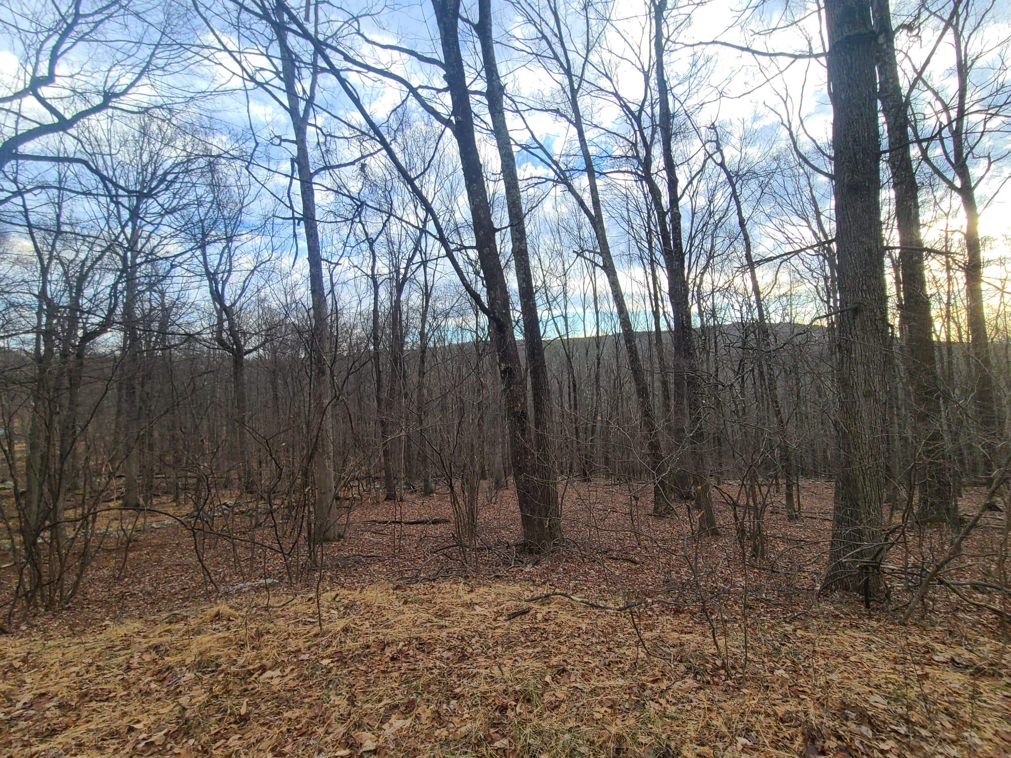 #2 photo, Ferguson Road, Bloomingburg , NY 12721