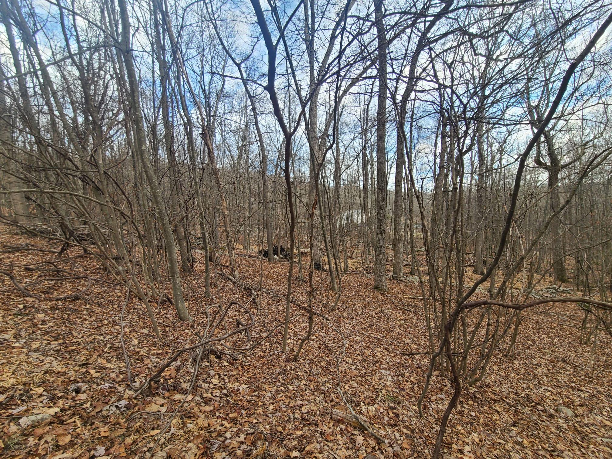 #3 photo, Ferguson Road, Bloomingburg , NY 12721