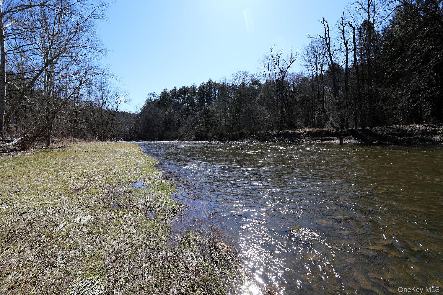 #8 photo, 4587 State Route 17b, Callicoon , NY 12723