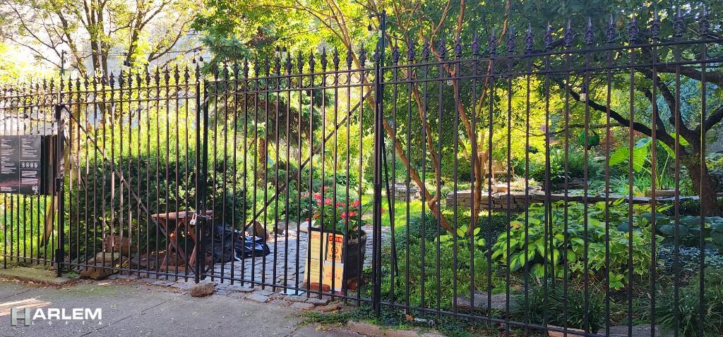 #3 photo, 111 West 132nd Street, マンハッタン New York (Manhattan) , NY 10027