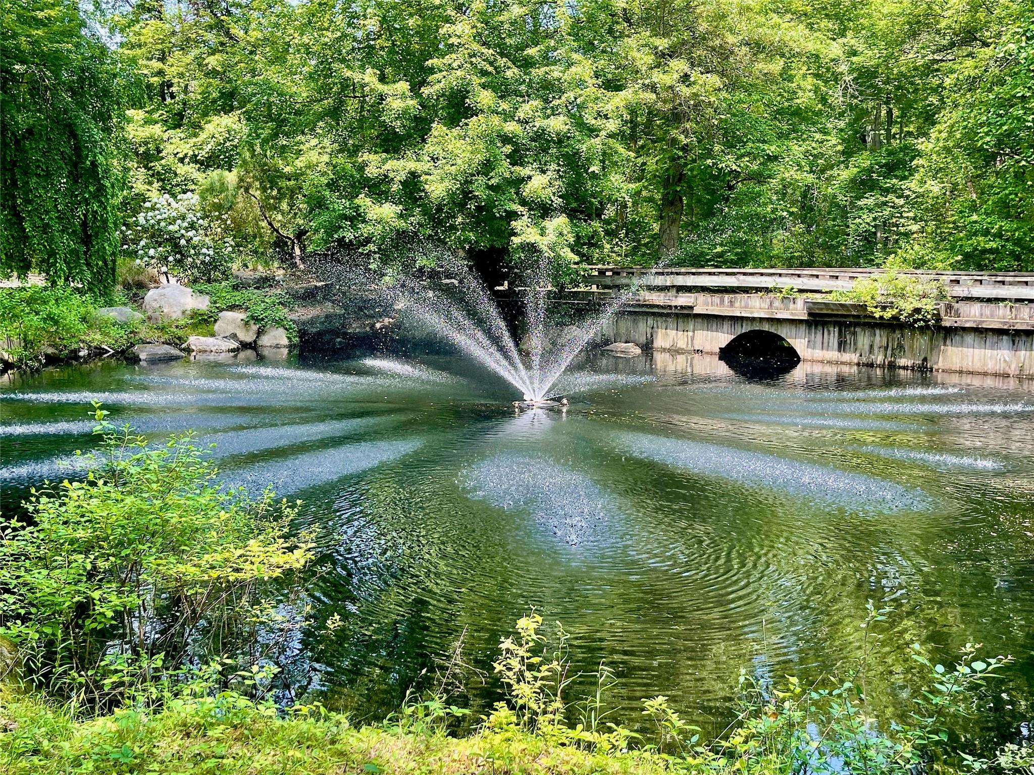 #7 photo, 6 Hidden Pond, 长岛 Muttontown , NY 11545