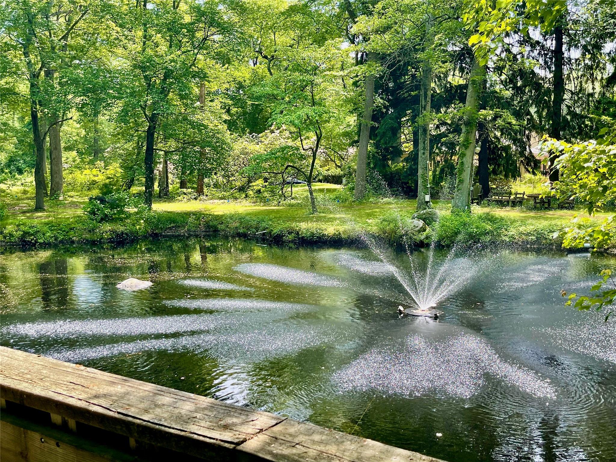 #9 photo, 6 Hidden Pond, 长岛 Muttontown , NY 11545