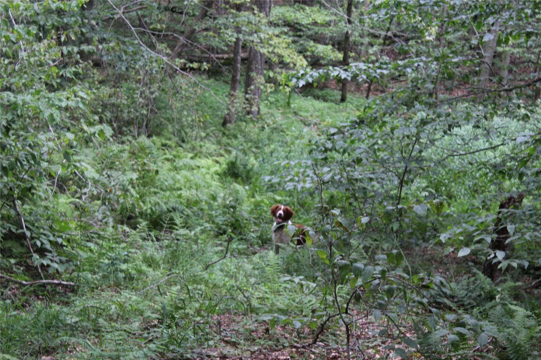 #2 photo, Poolbrook Road, Other , NY 