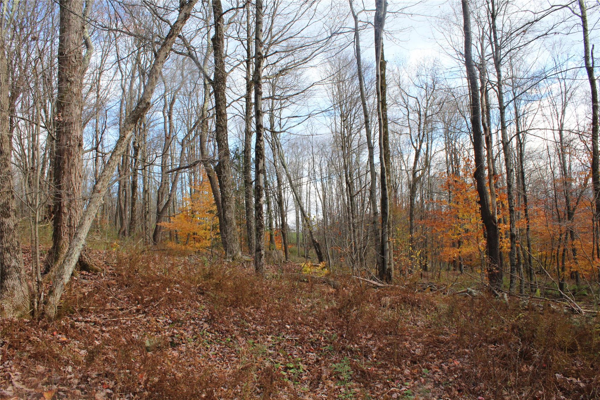 #3 photo, Poolbrook Road, Other , NY 