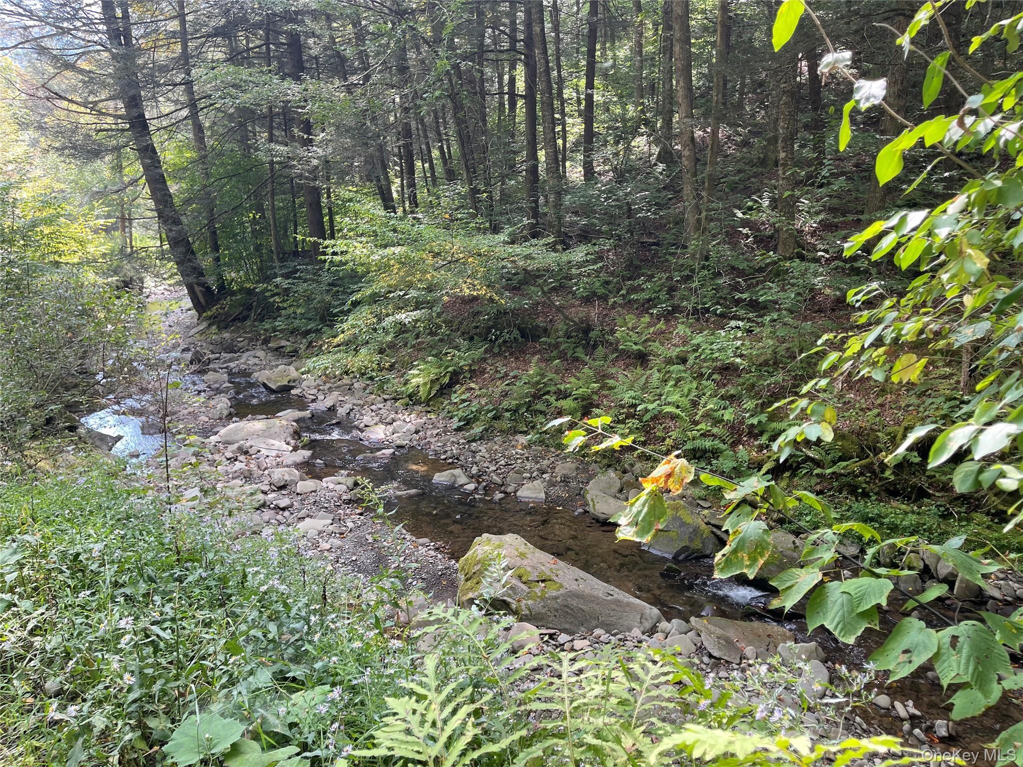 #10 photo, Carcass Brook Spur, Hancock , NY 13783