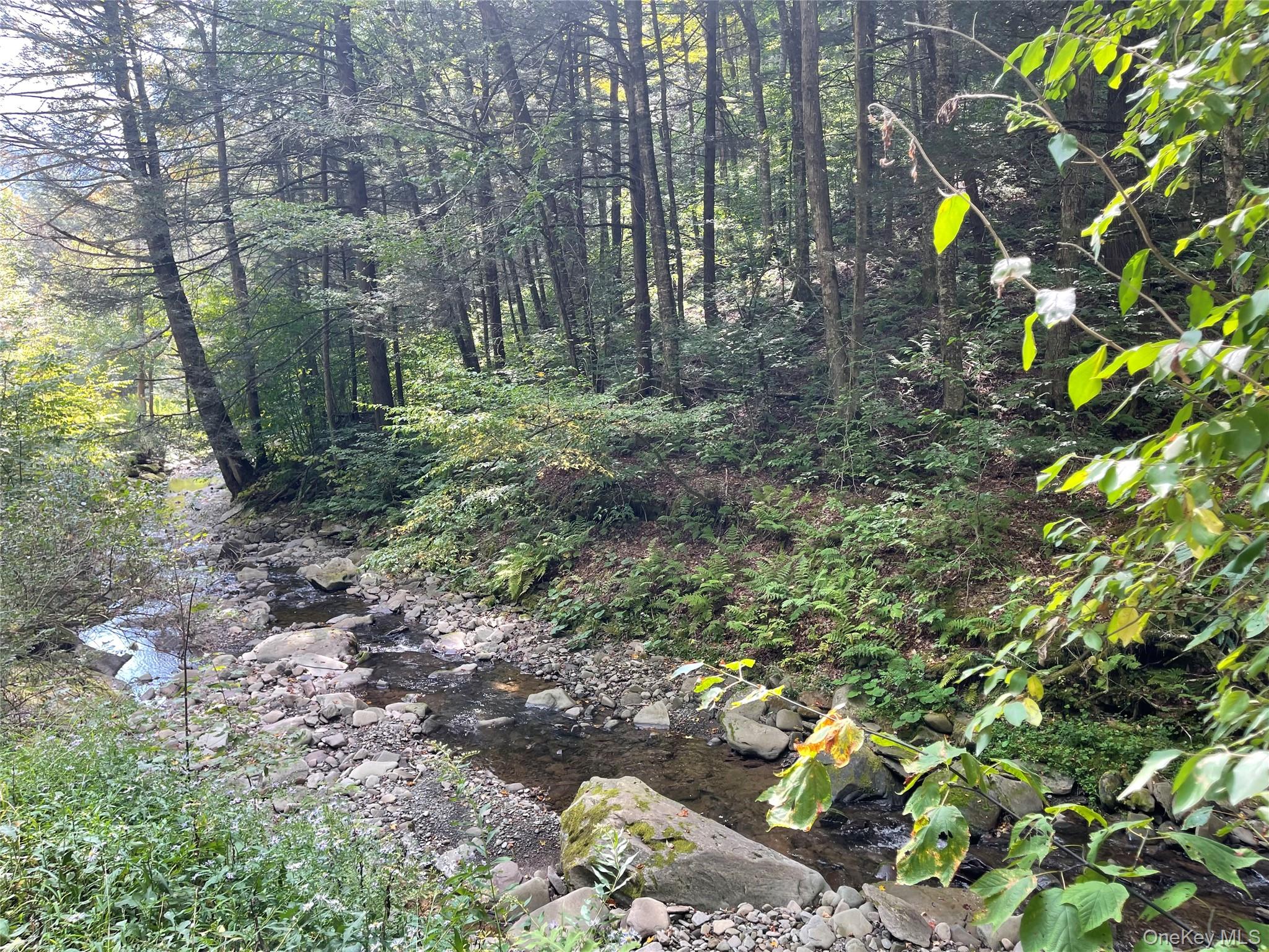 #11 photo, Carcass Brook Spur, Hancock , NY 13783