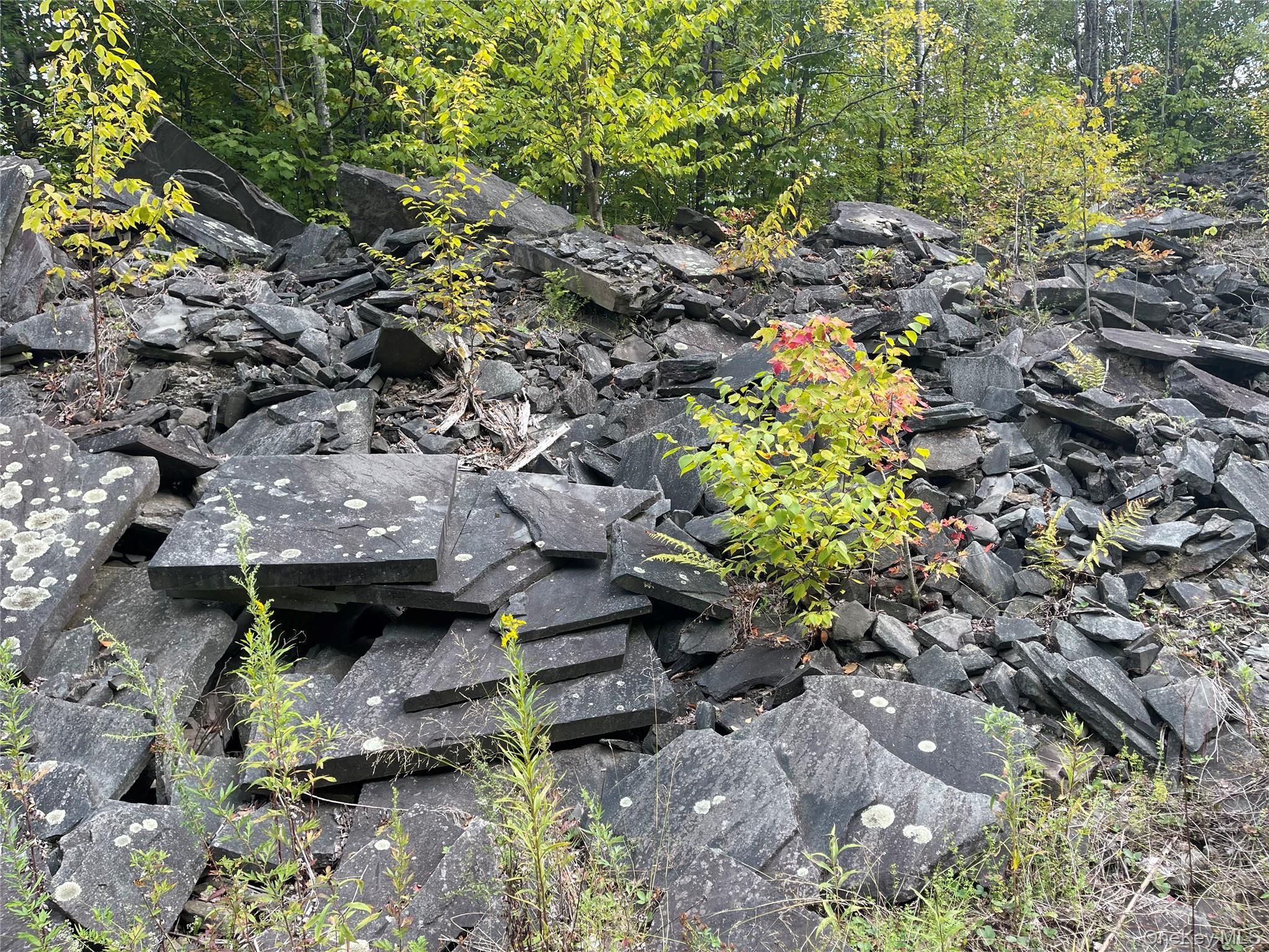 #12 photo, Carcass Brook Spur, Hancock , NY 13783