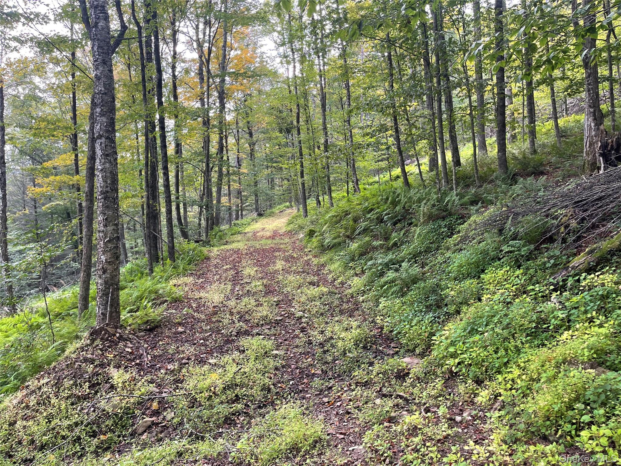 #13 photo, Carcass Brook Spur, Hancock , NY 13783