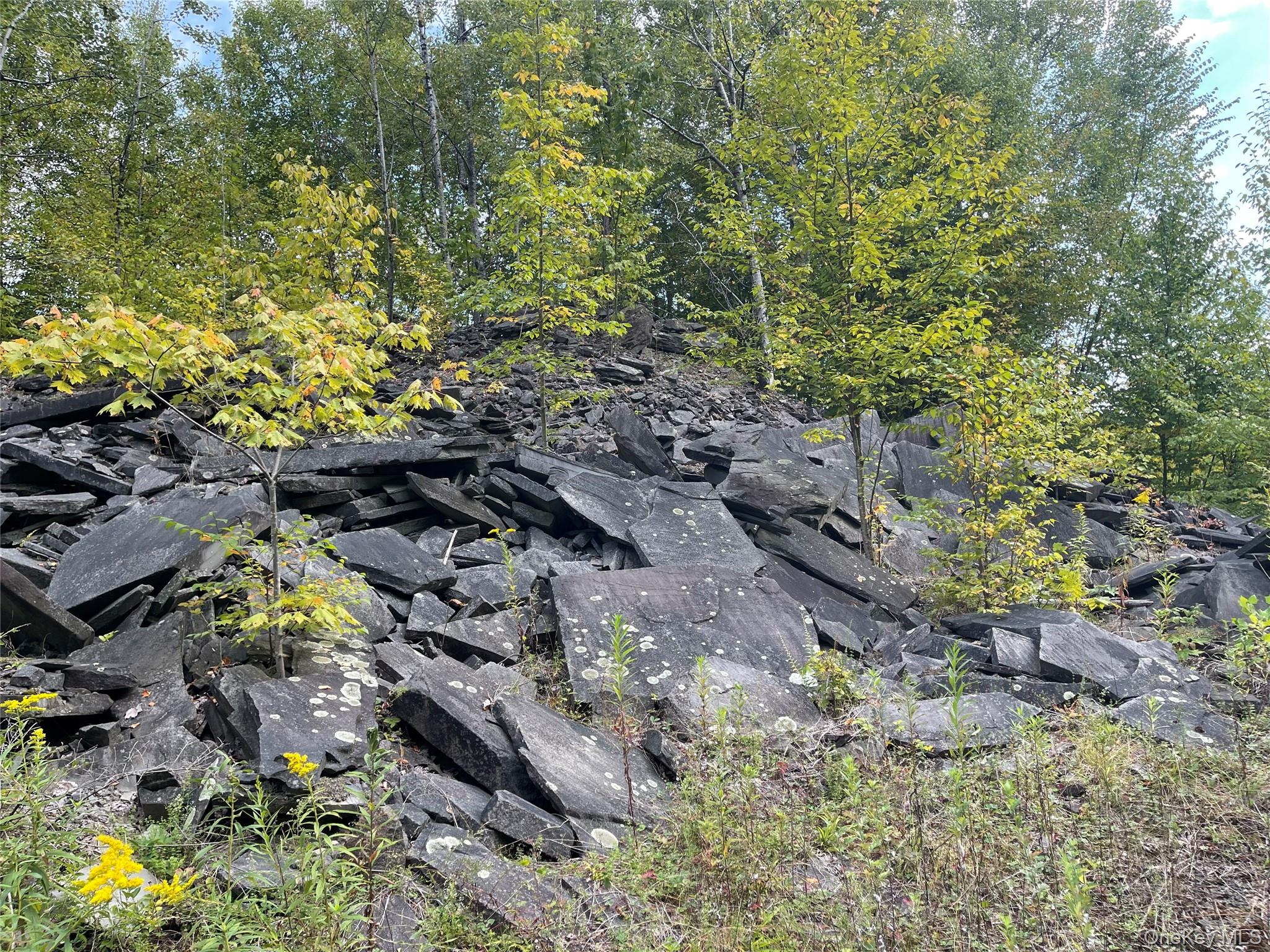 #14 photo, Carcass Brook Spur, Hancock , NY 13783