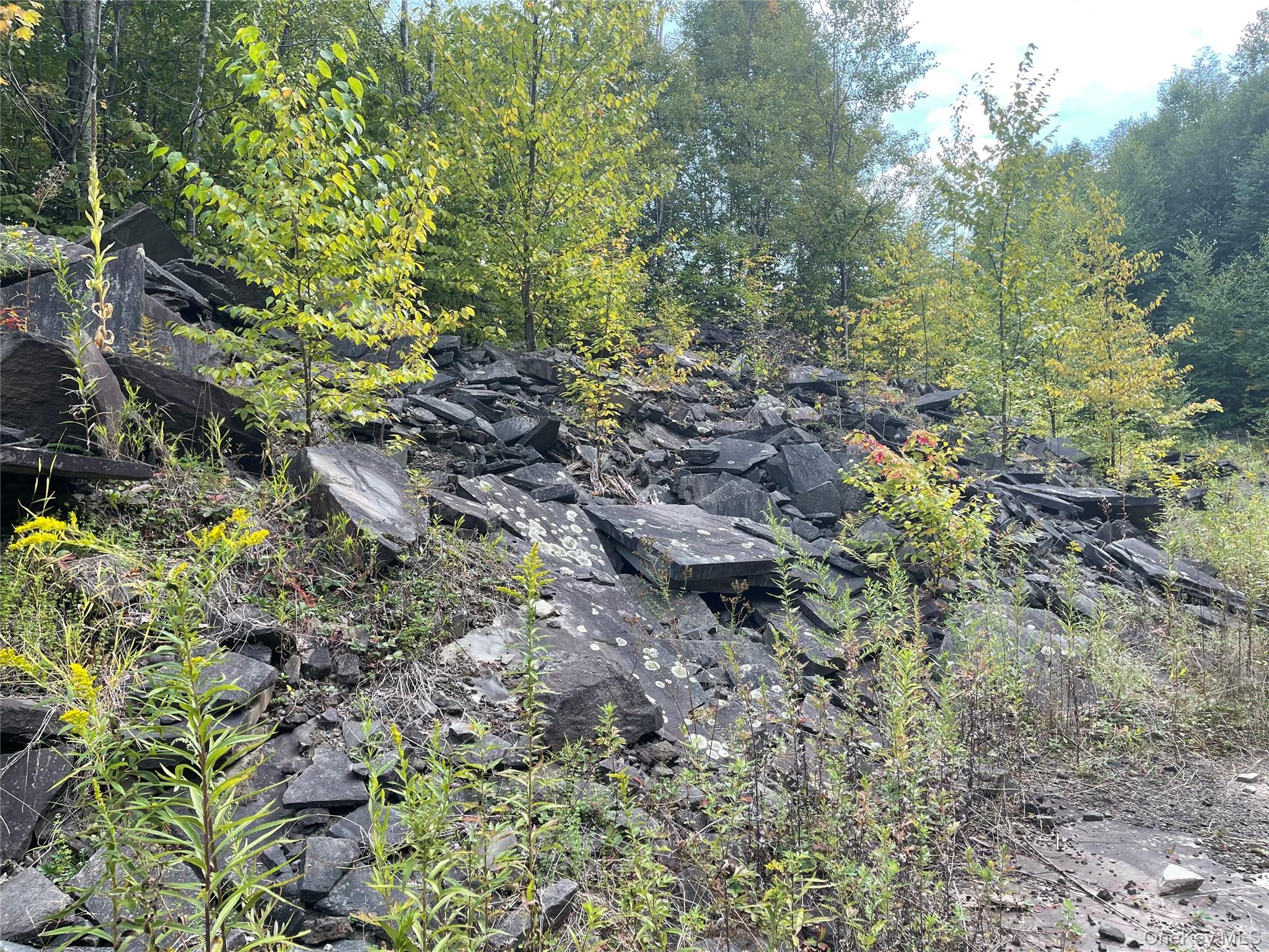 #15 photo, Carcass Brook Spur, Hancock , NY 13783