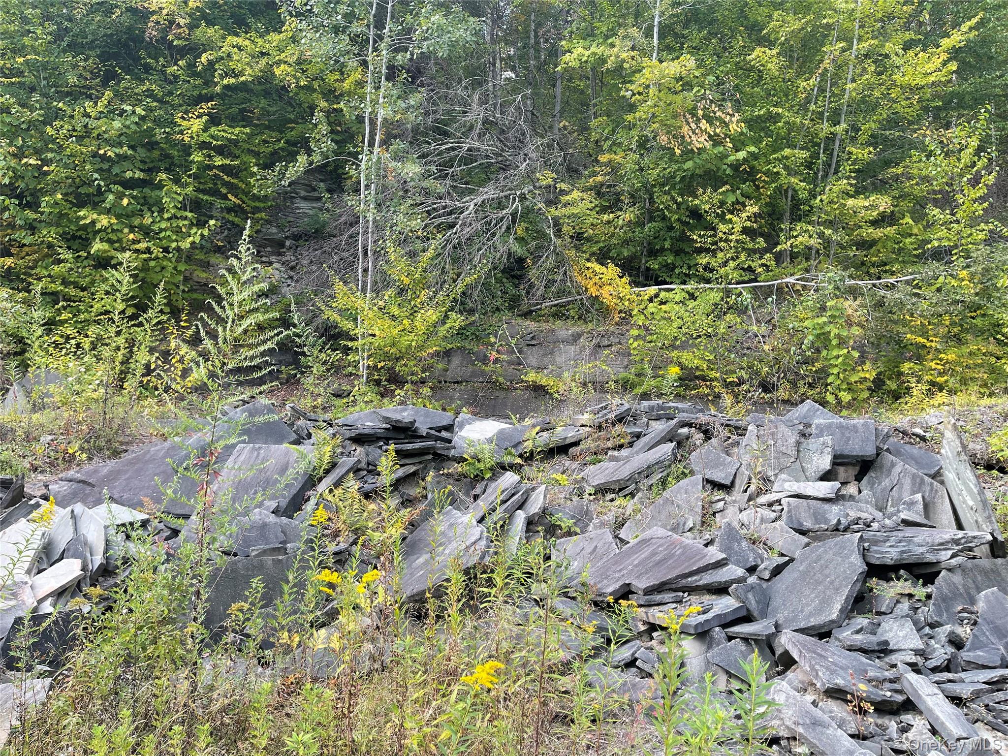 #16 photo, Carcass Brook Spur, Hancock , NY 13783