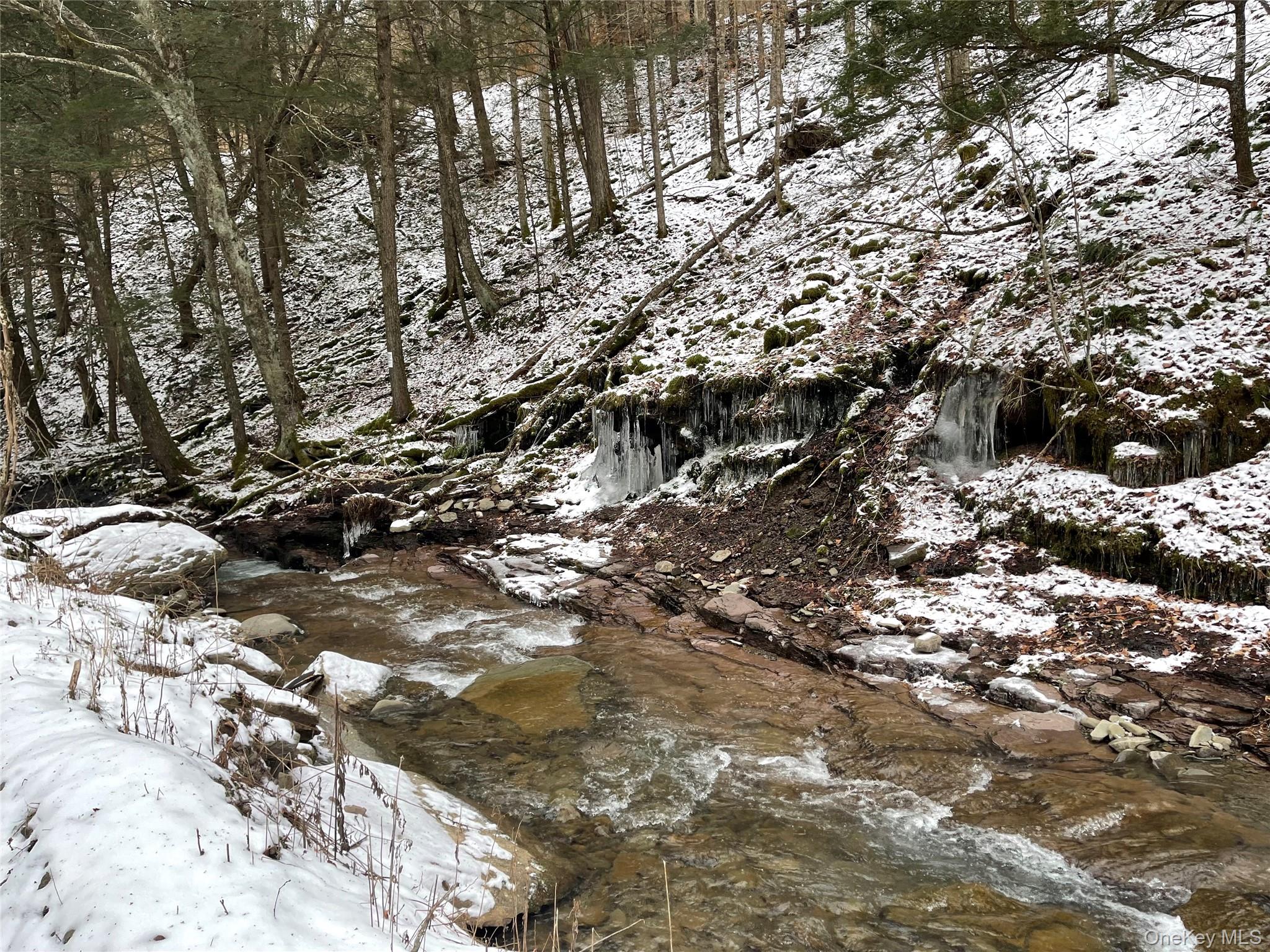 #17 photo, Carcass Brook Spur, Hancock , NY 13783
