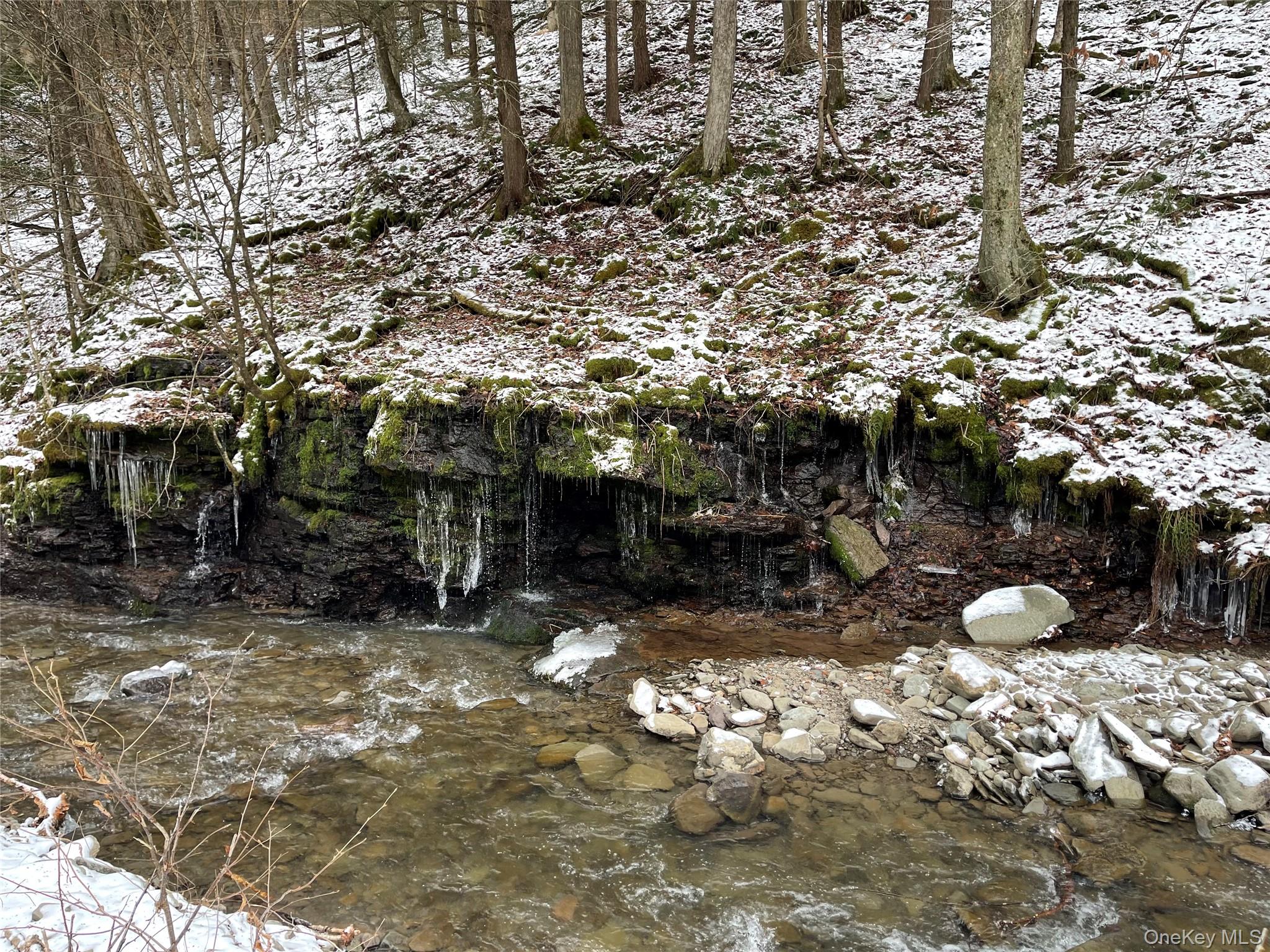 #18 photo, Carcass Brook Spur, Hancock , NY 13783