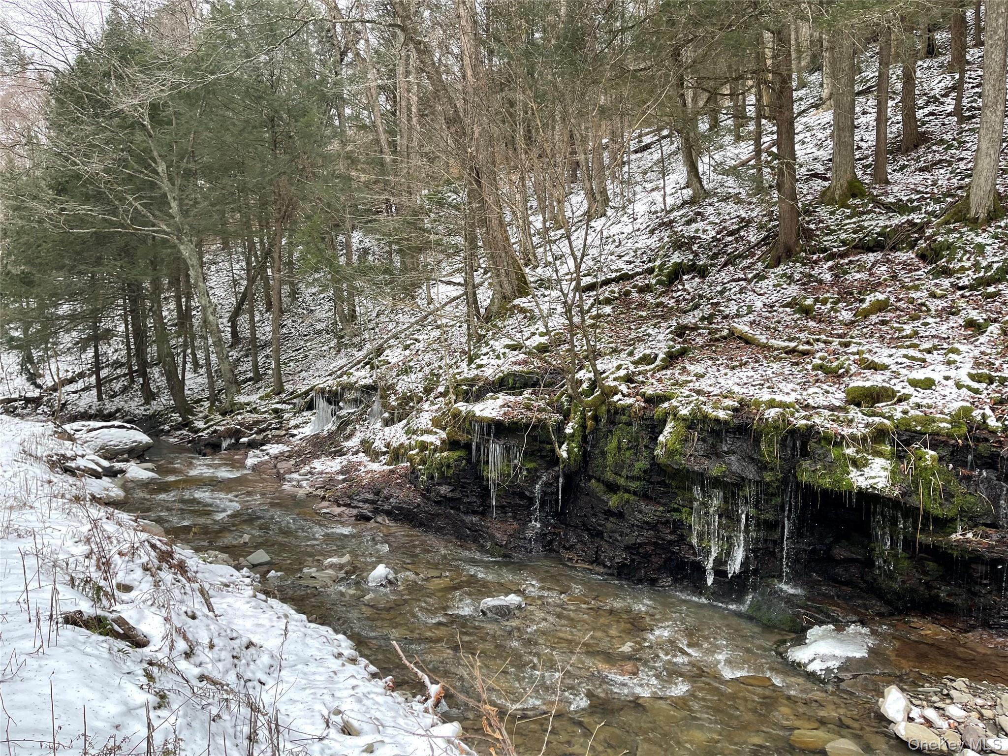 #19 photo, Carcass Brook Spur, Hancock , NY 13783