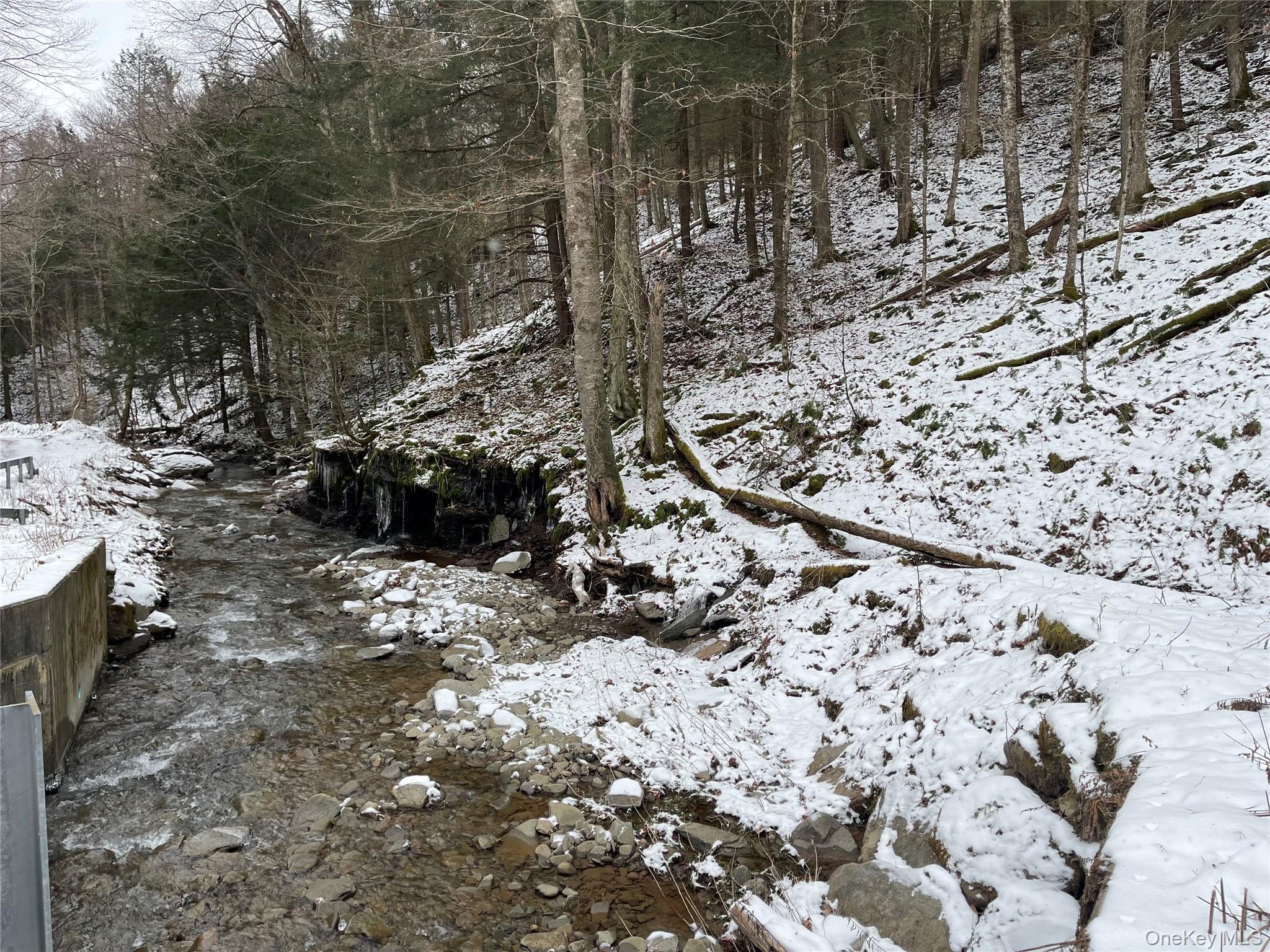 #20 photo, Carcass Brook Spur, Hancock , NY 13783