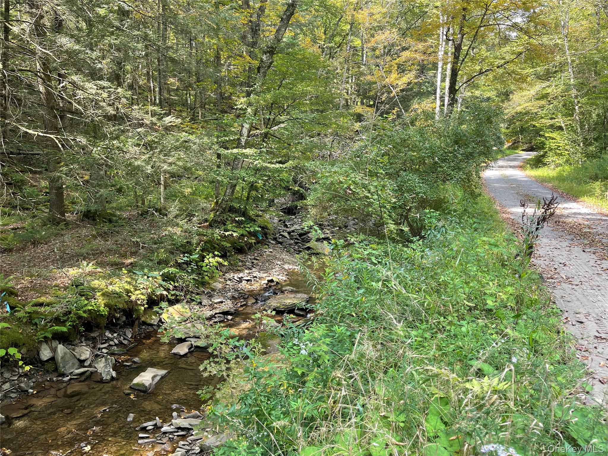 #5 photo, Carcass Brook Spur, Hancock , NY 13783