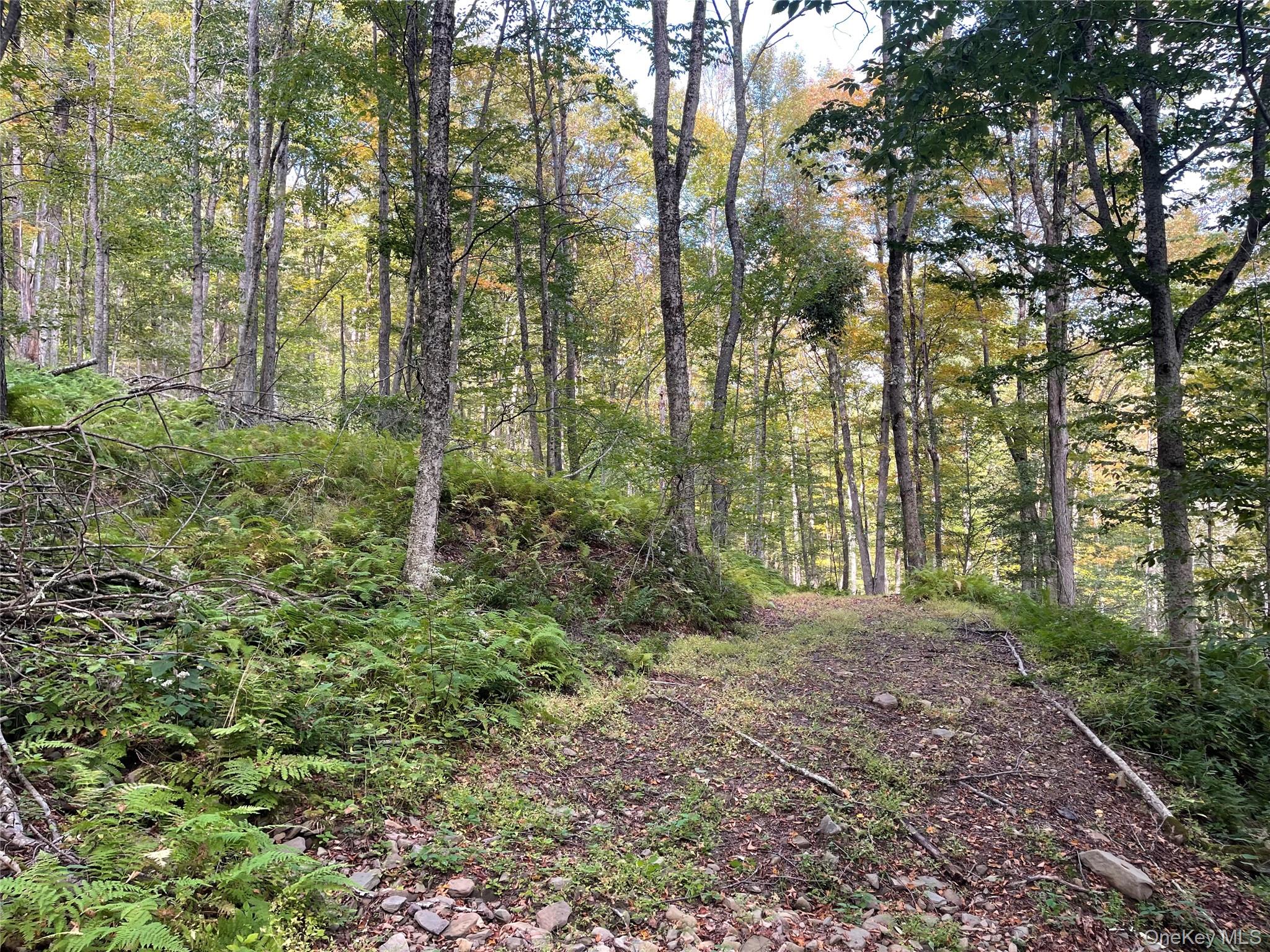 #6 photo, Carcass Brook Spur, Hancock , NY 13783