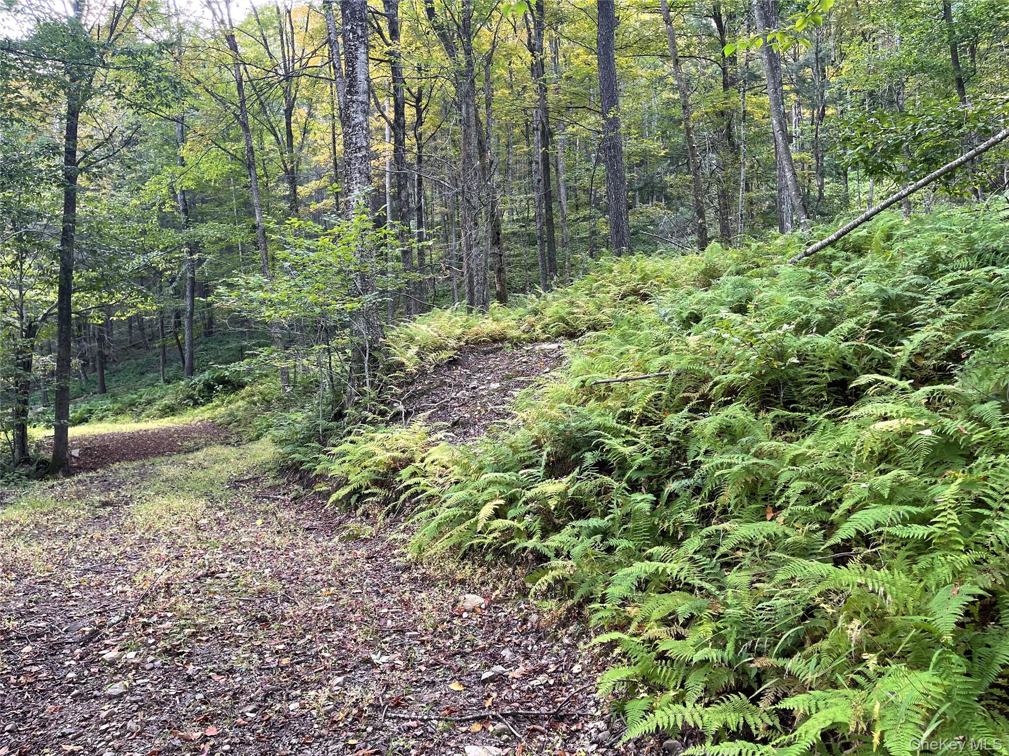 #7 photo, Carcass Brook Spur, Hancock , NY 13783