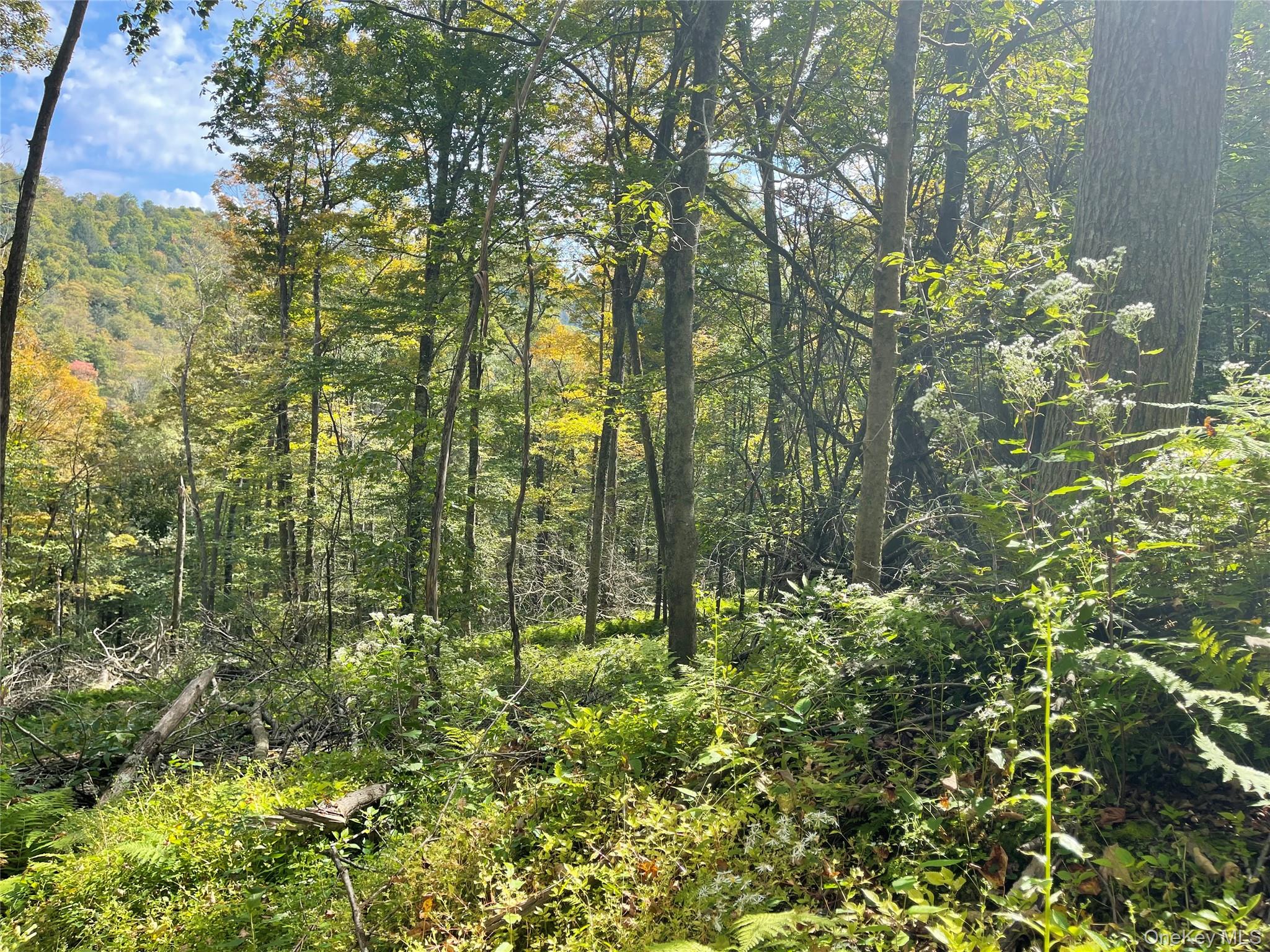 #8 photo, Carcass Brook Spur, Hancock , NY 13783