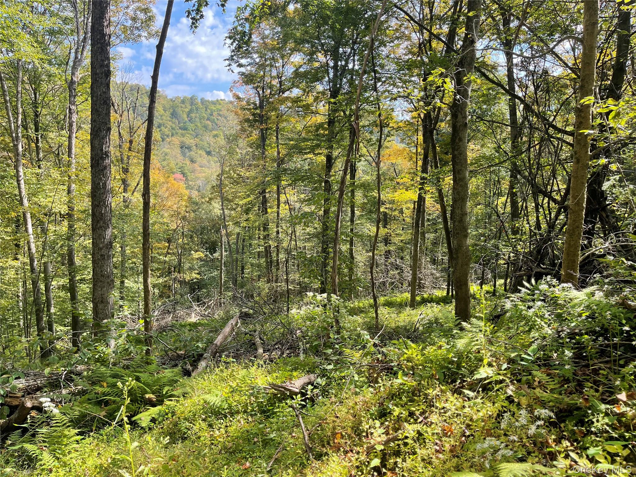 #9 photo, Carcass Brook Spur, Hancock , NY 13783