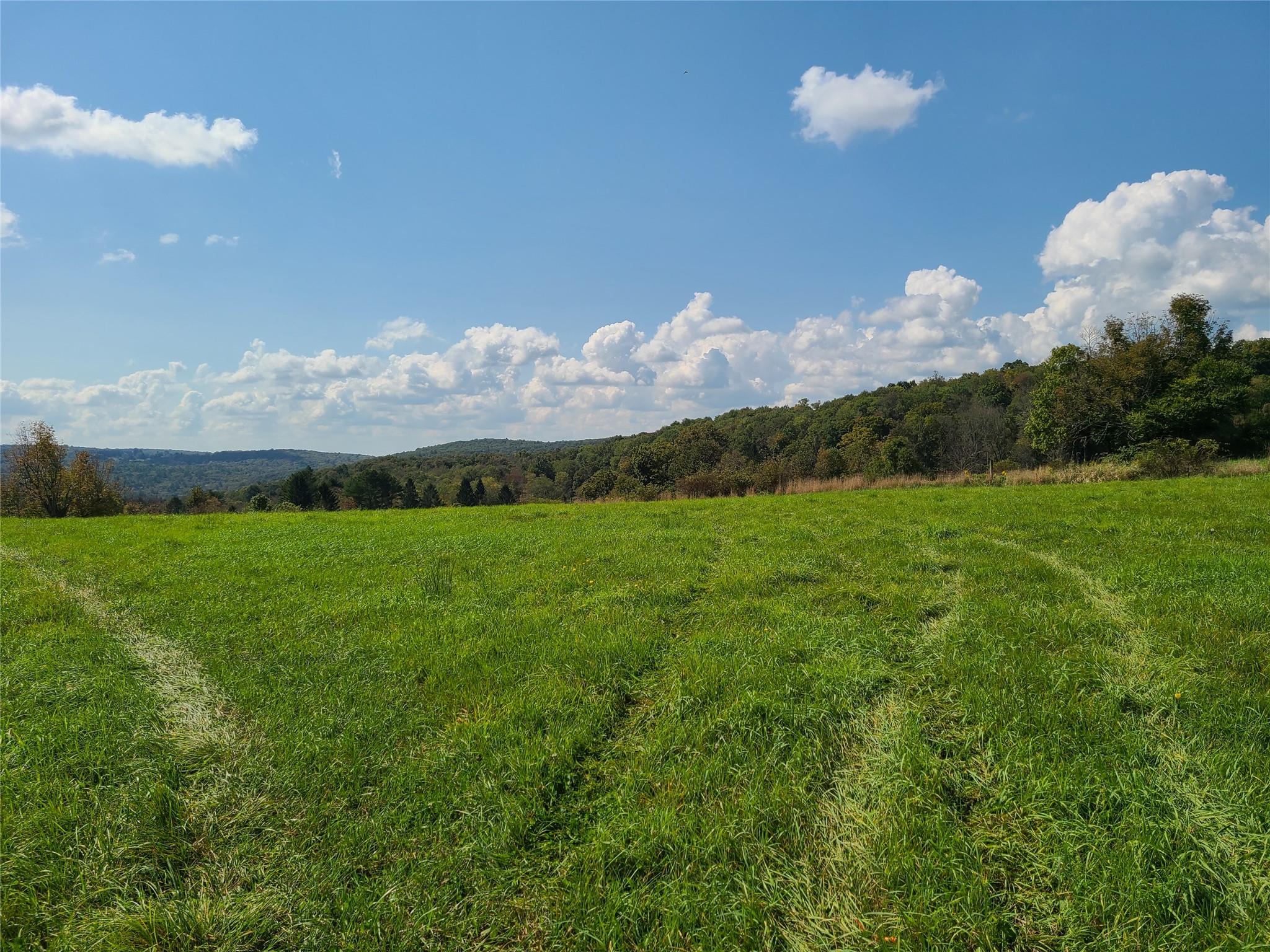 #15 photo, 356 Gabel Road, Callicoon , NY 12723