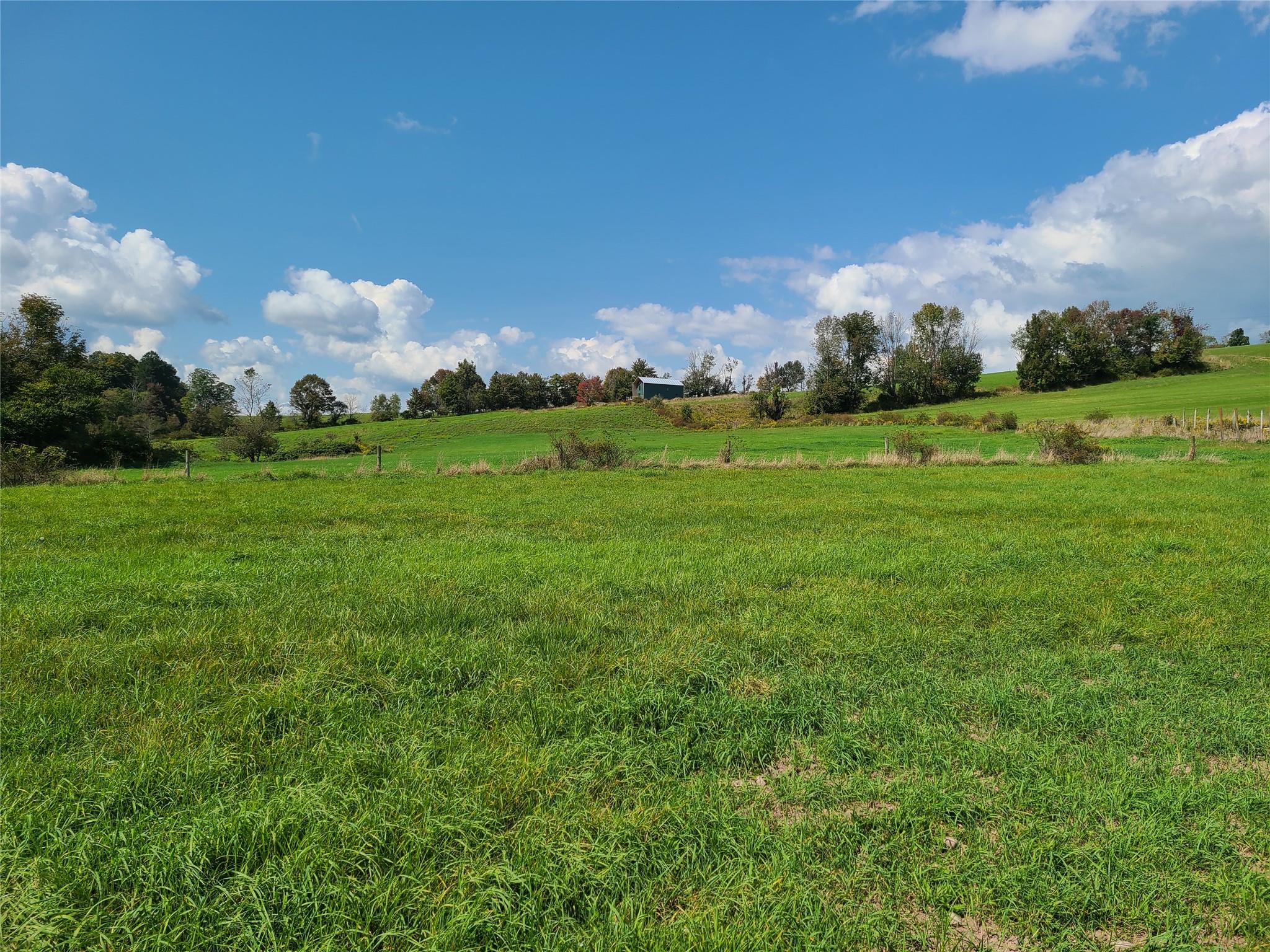 #16 photo, 356 Gabel Road, Callicoon , NY 12723