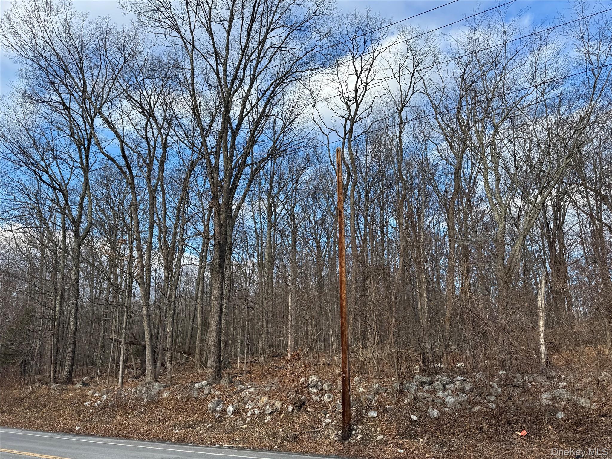 #4 photo, Rt-52, Pine Bush , NY 12566