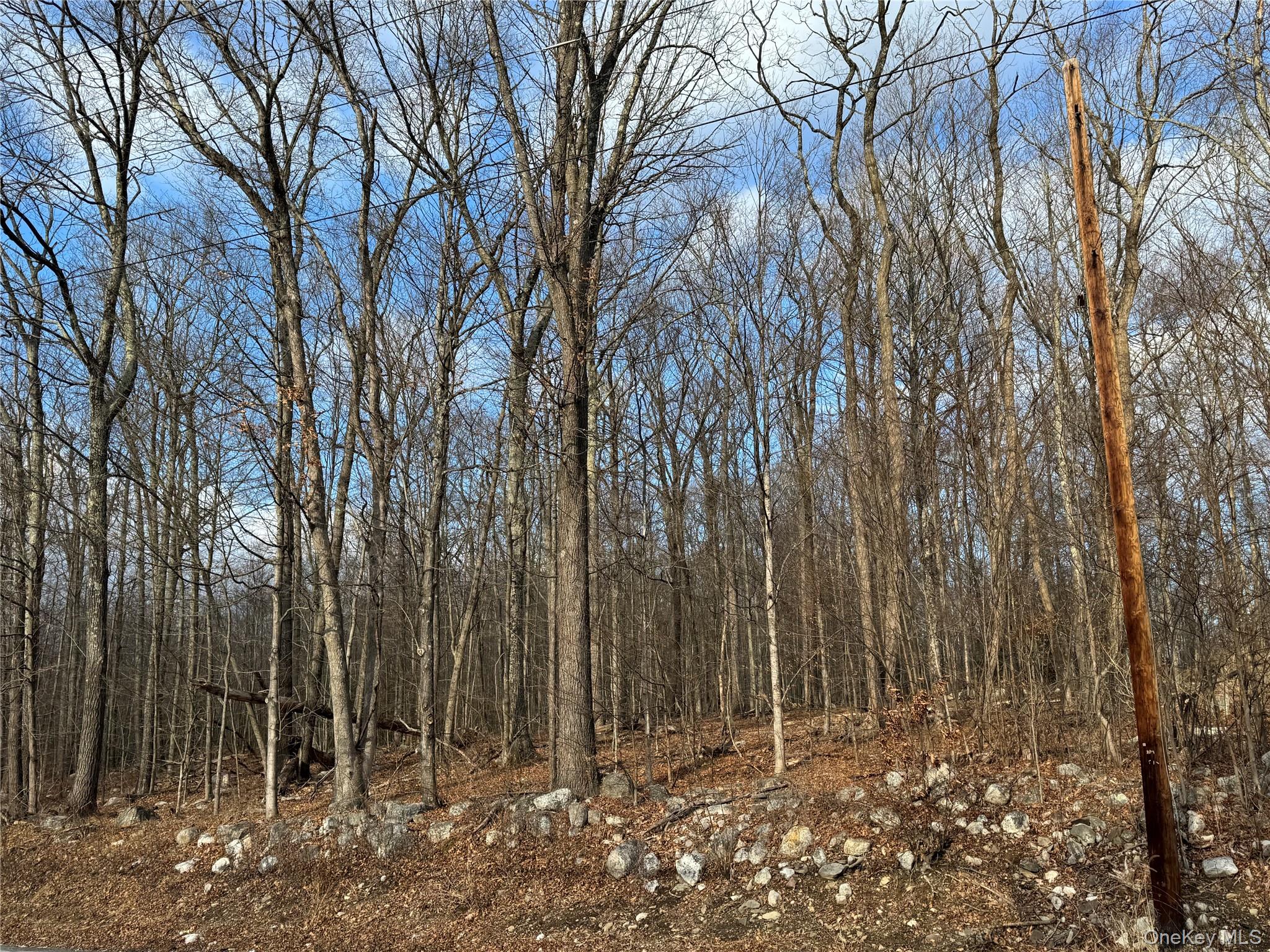 #5 photo, Rt-52, Pine Bush , NY 12566