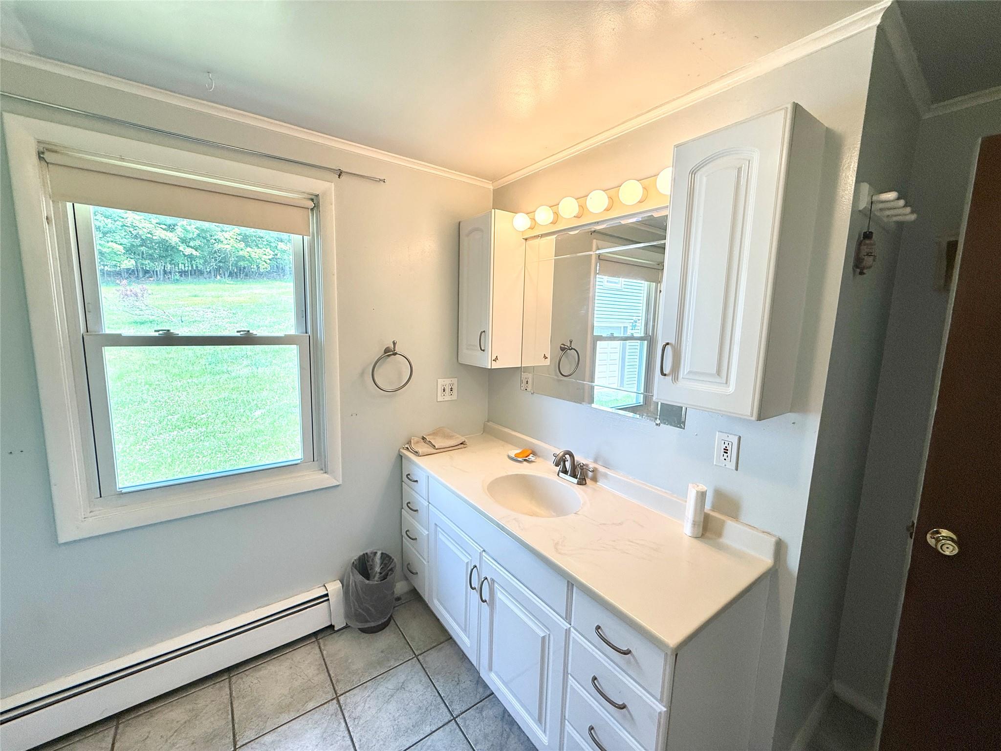 #13 photo, 491 Hurd, Swan Lake , NY 12783