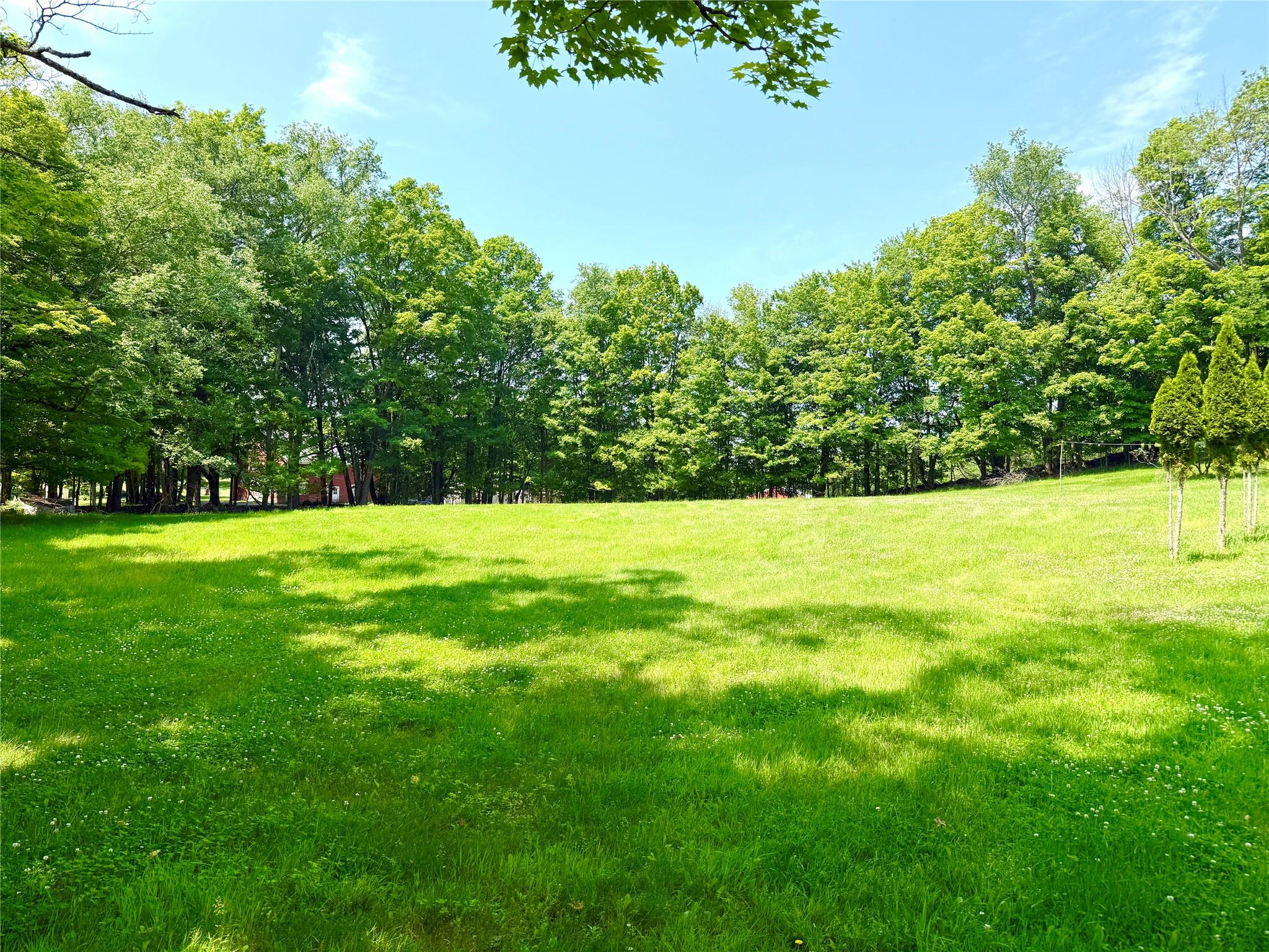 #5 photo, 491 Hurd, Swan Lake , NY 12783