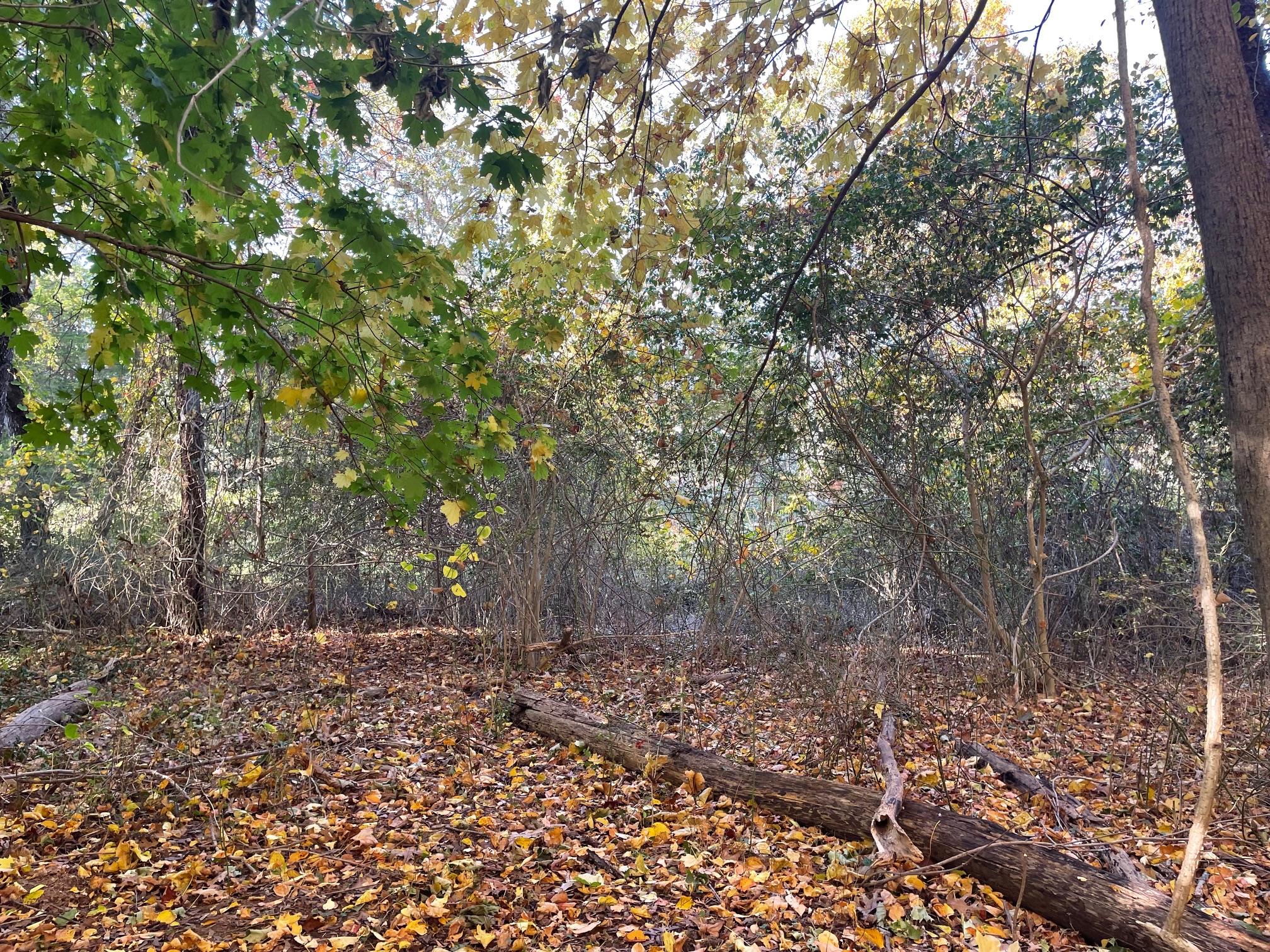 #10 photo, 4077 Main Bayview Road, Southold , NY 11971