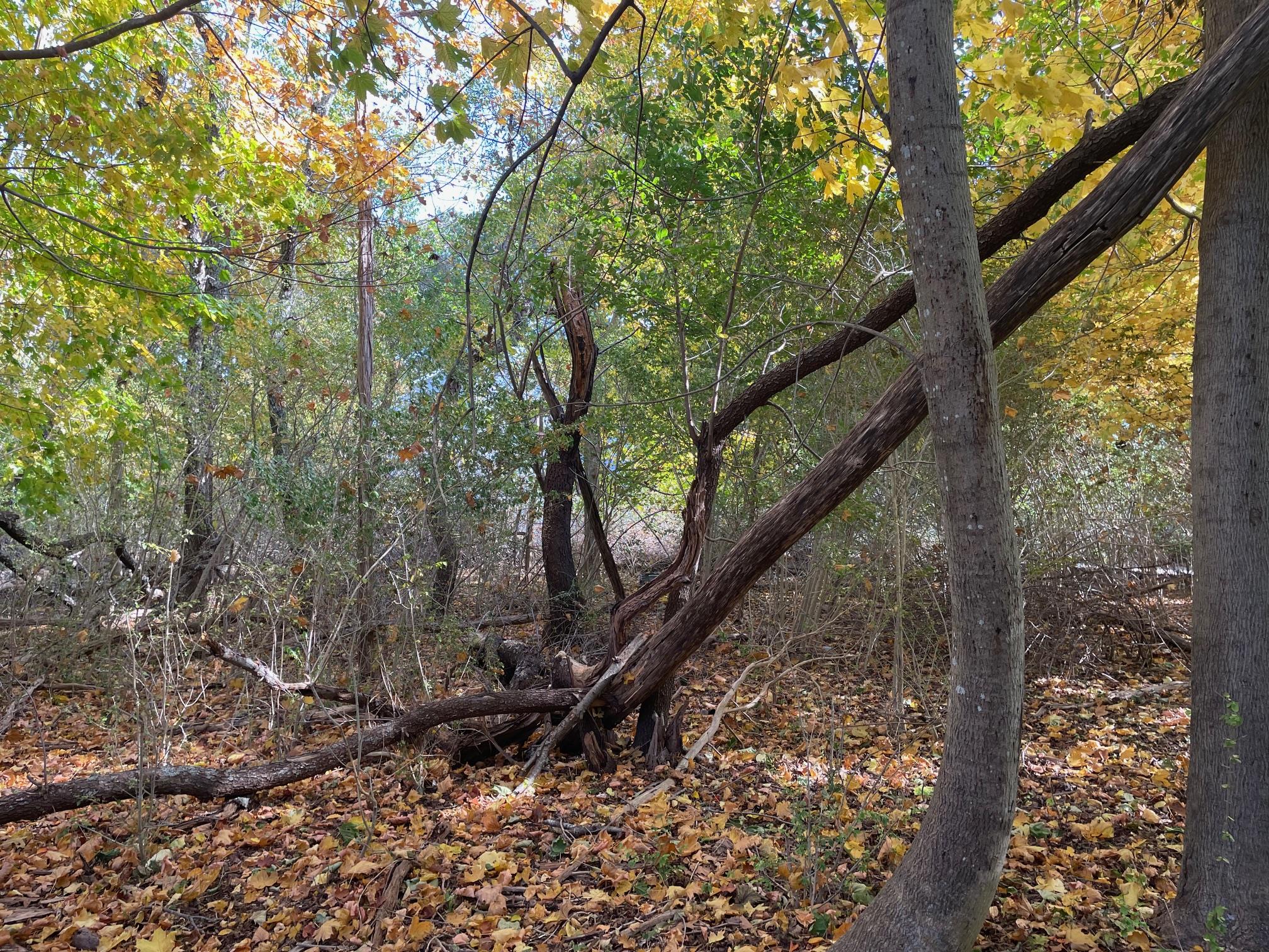 #11 photo, 4077 Main Bayview Road, Southold , NY 11971