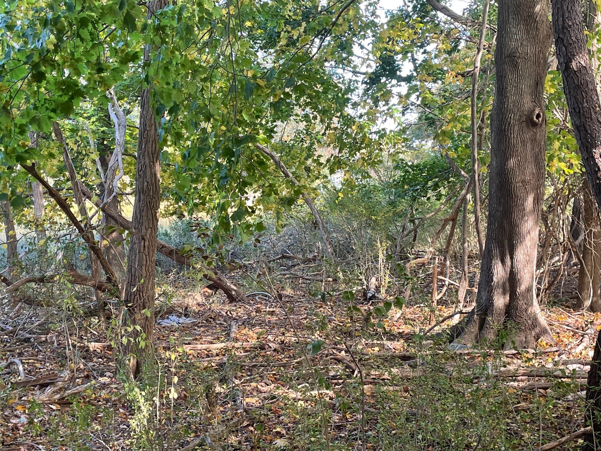 #12 photo, 4077 Main Bayview Road, Southold , NY 11971