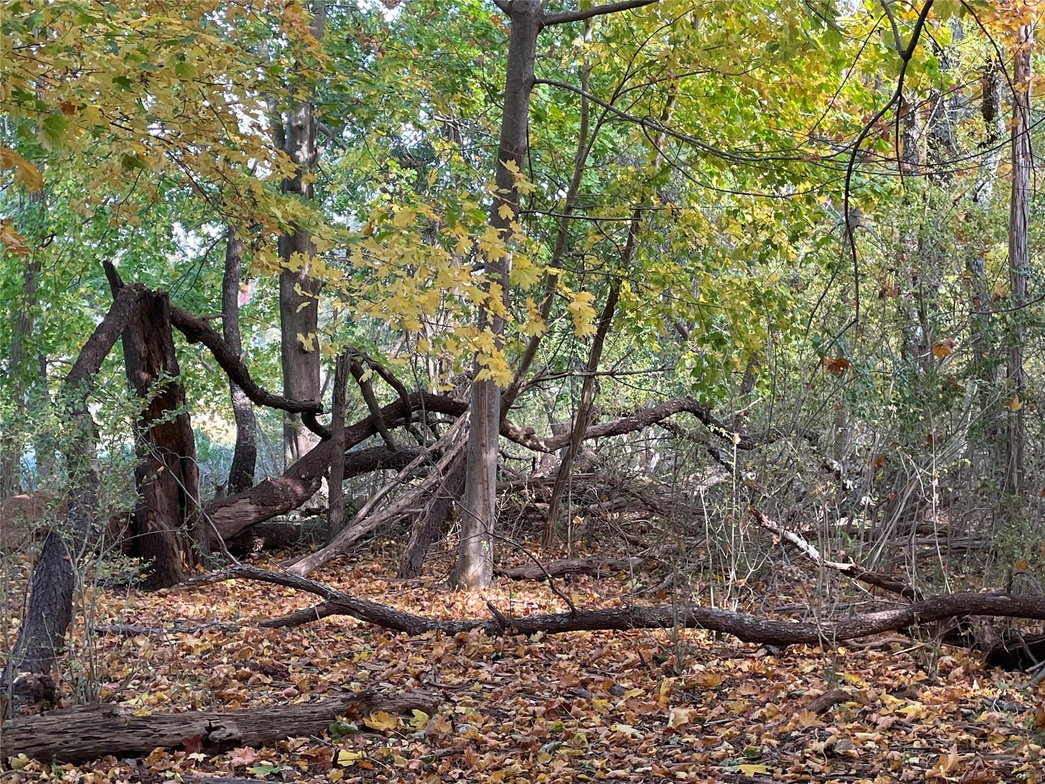 #14 photo, 4077 Main Bayview Road, Southold , NY 11971